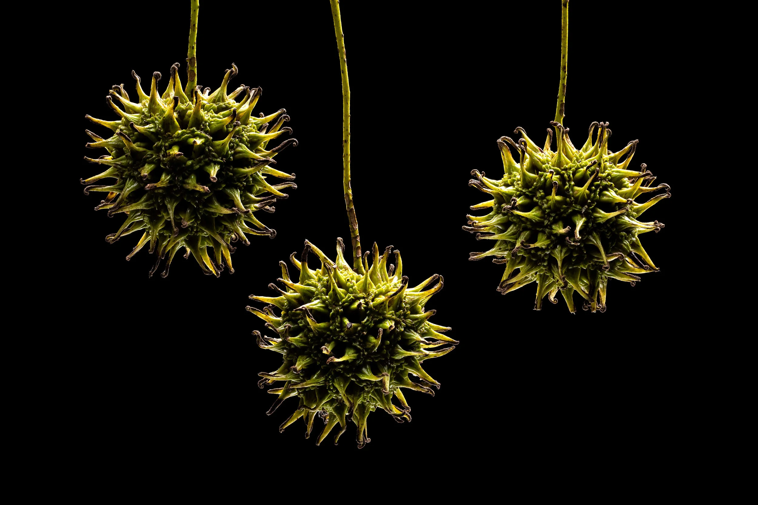 JeffGrahamPhotography--68.jpg