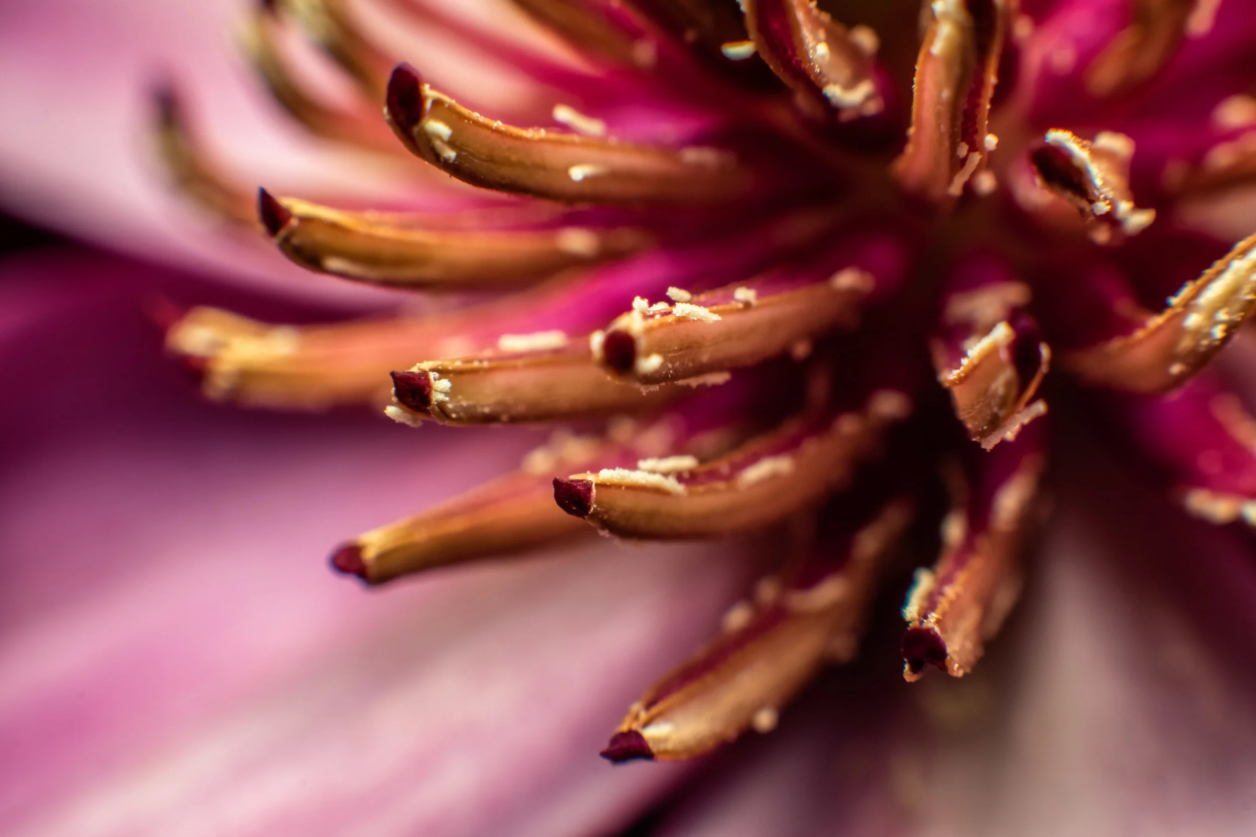 JeffGrahamPhotography--117.jpg