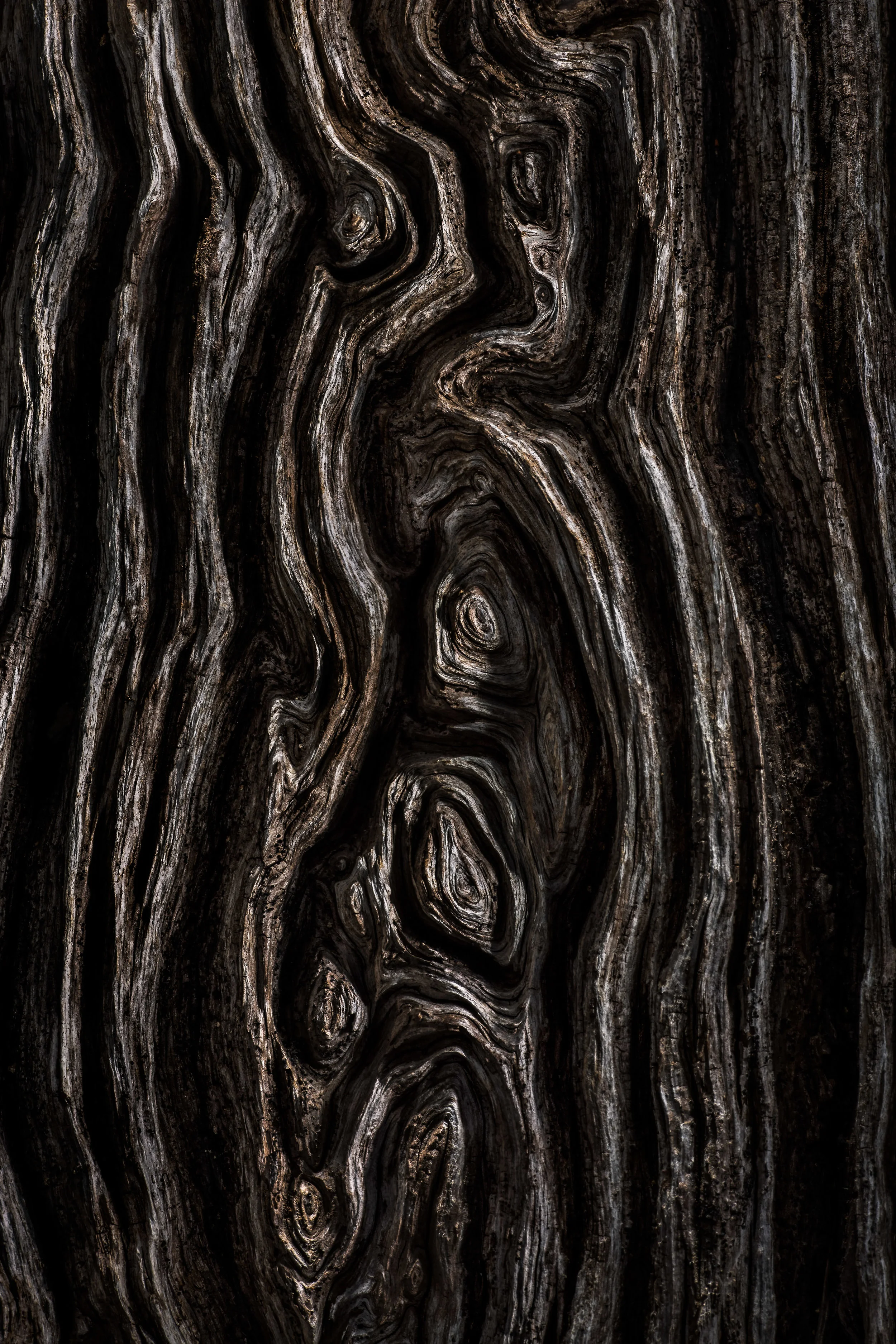 JeffGrahamPhotography--93.jpg