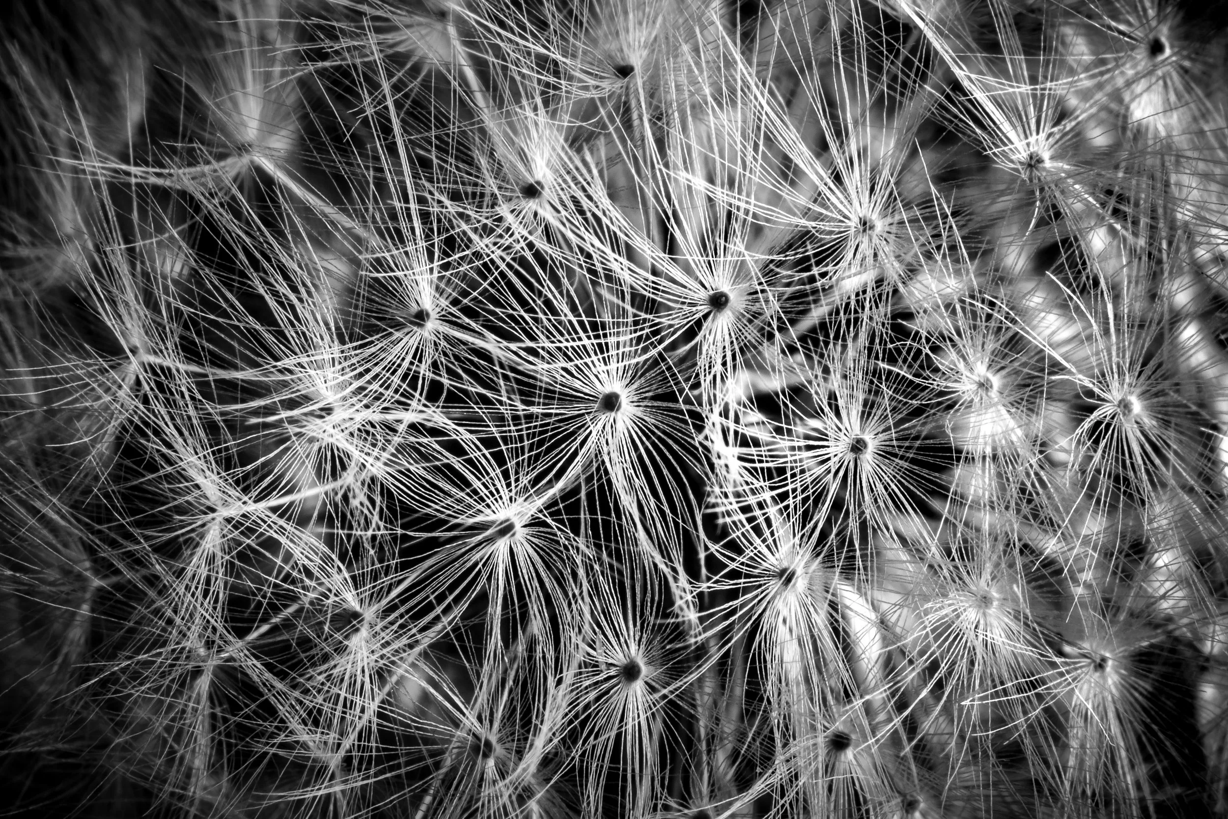 JeffGrahamPhotography-0998.jpg
