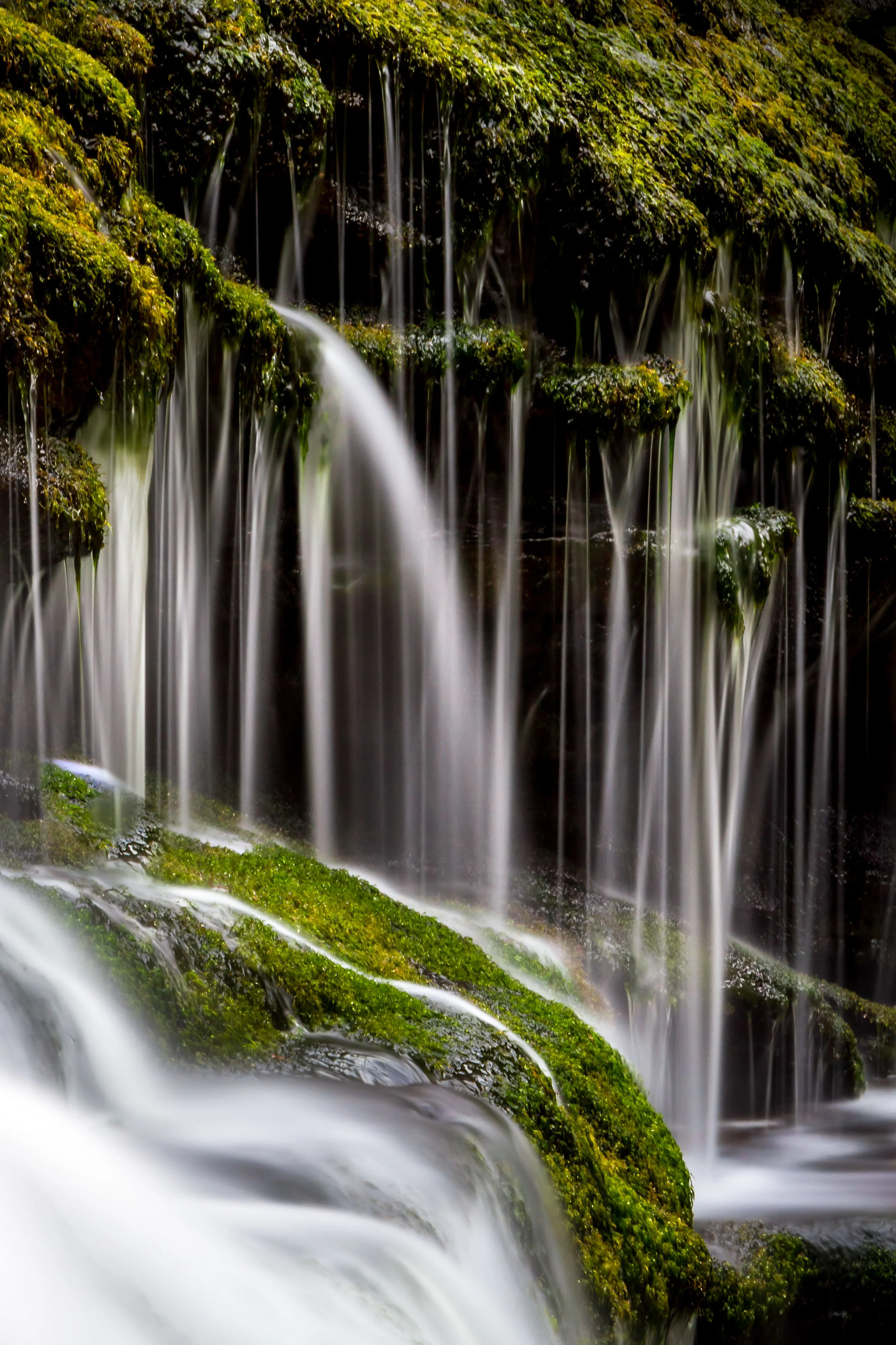 JeffGrahamPhotography--124.jpg