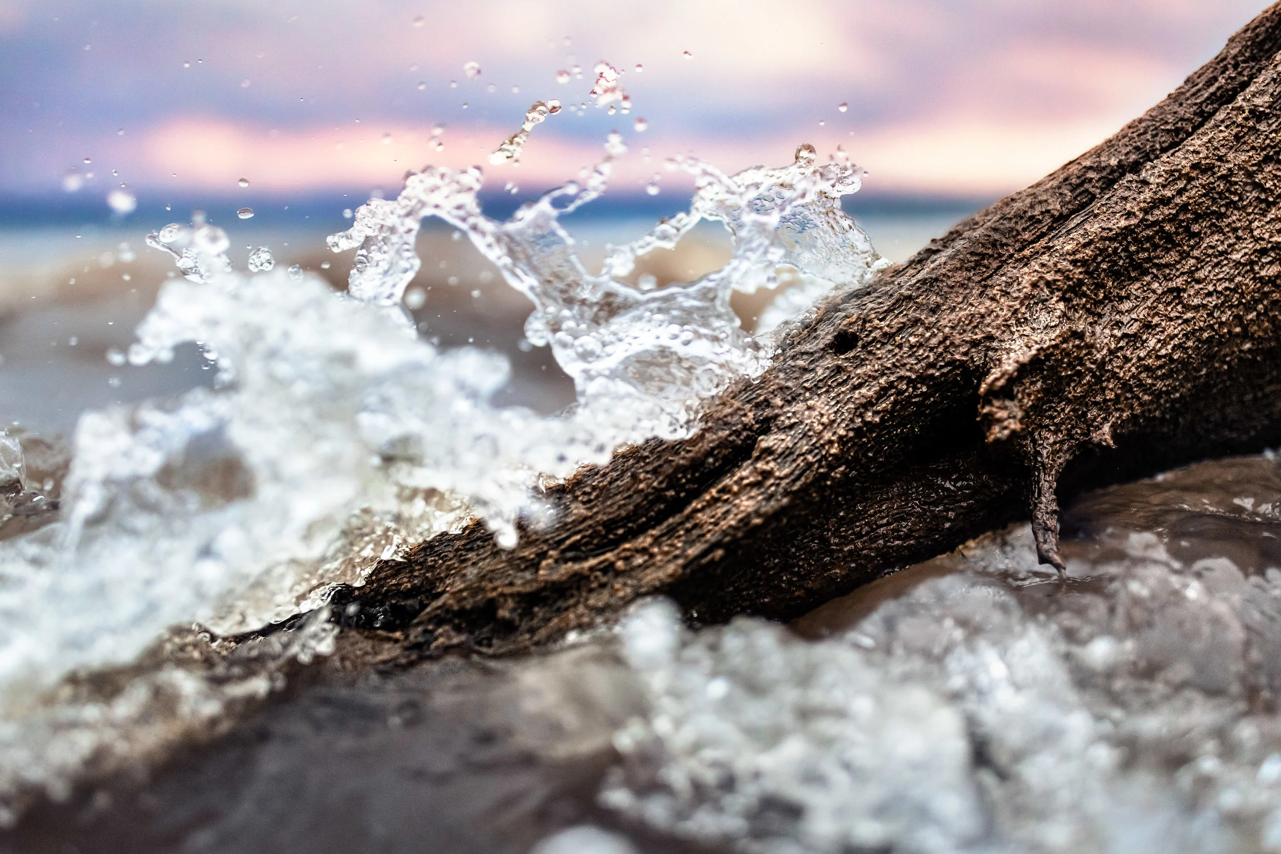 JeffGrahamPhotography--79.jpg