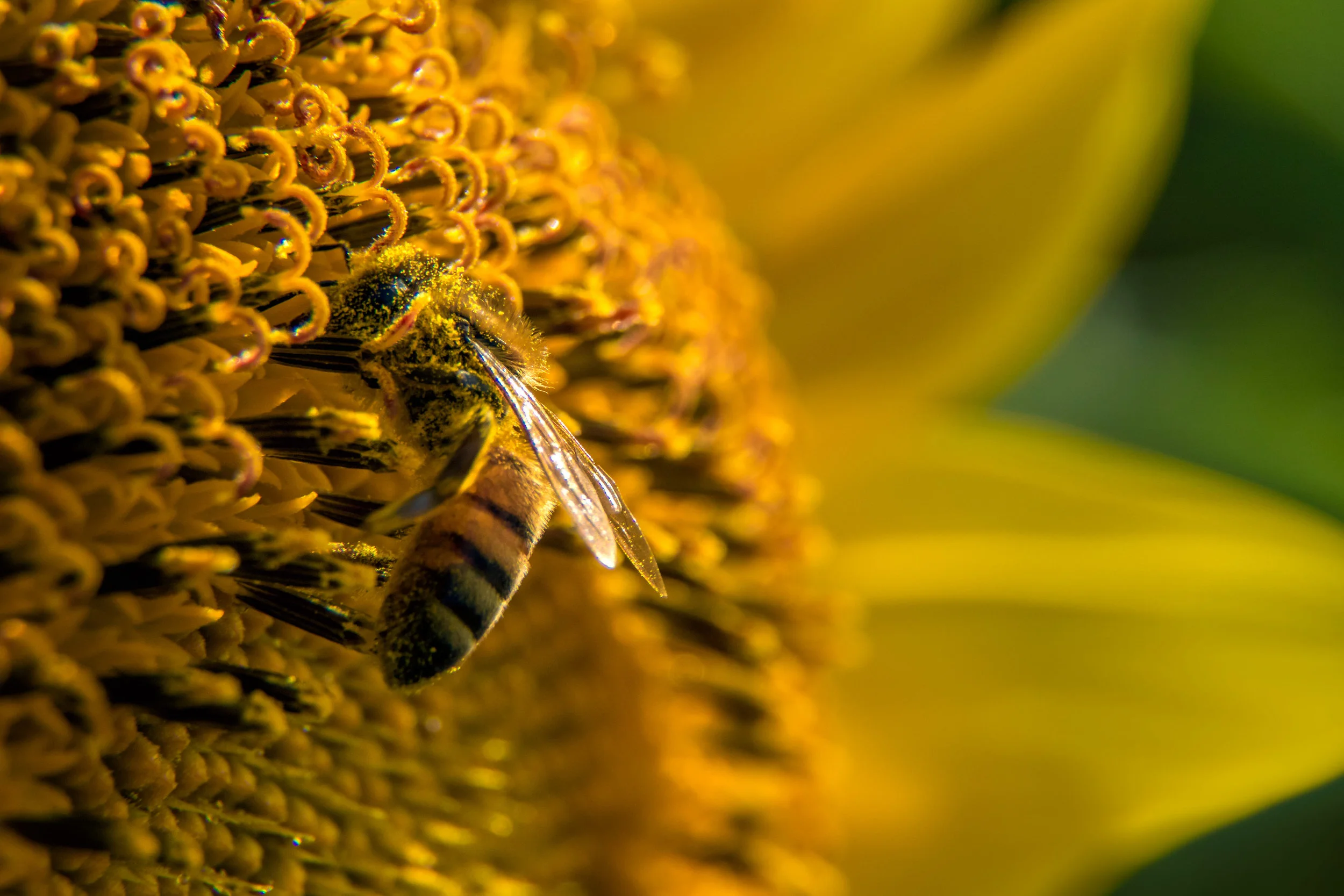 JeffGrahamPhotography--112.jpg