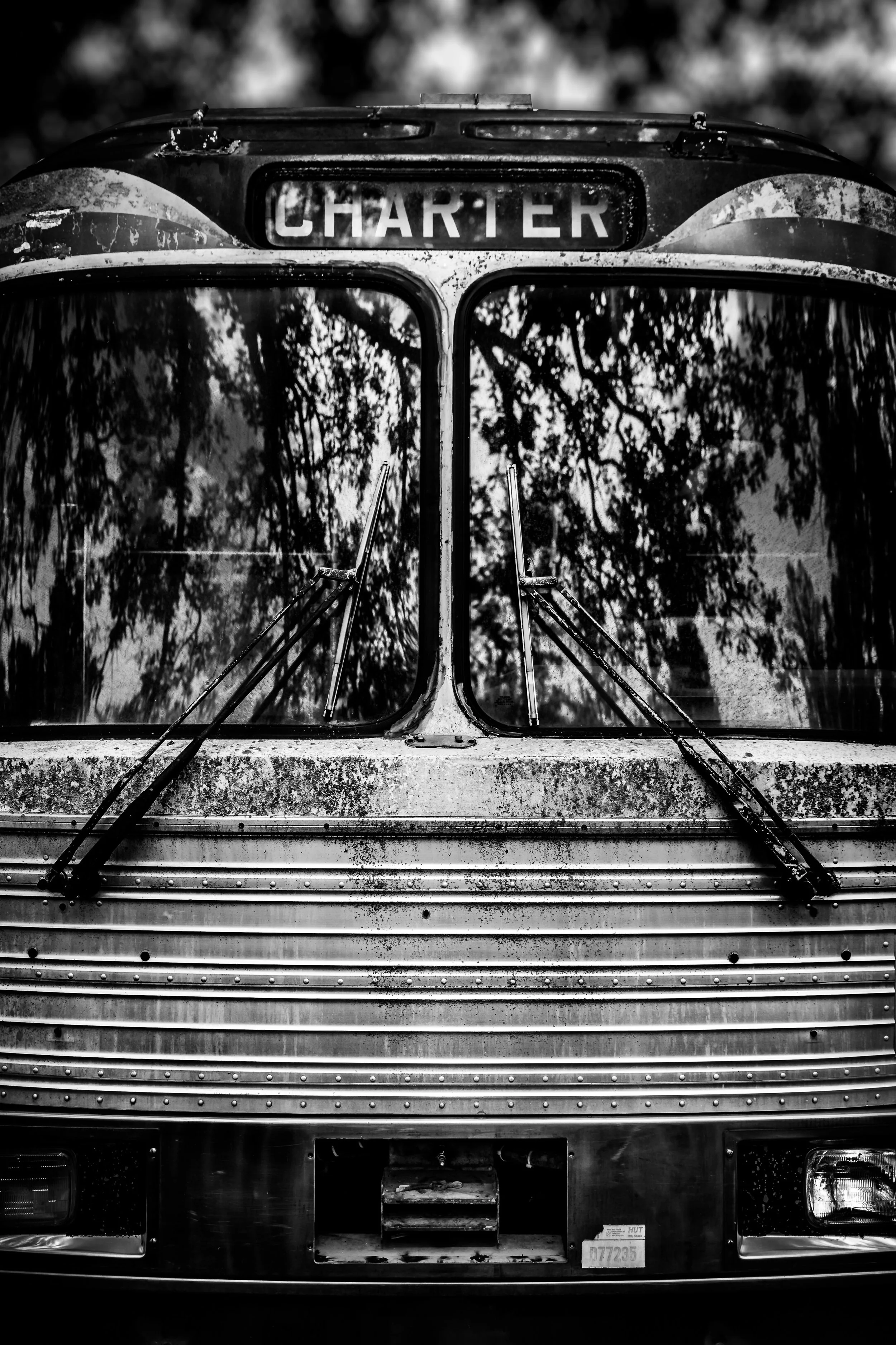 JeffGrahamPhotography--147.jpg