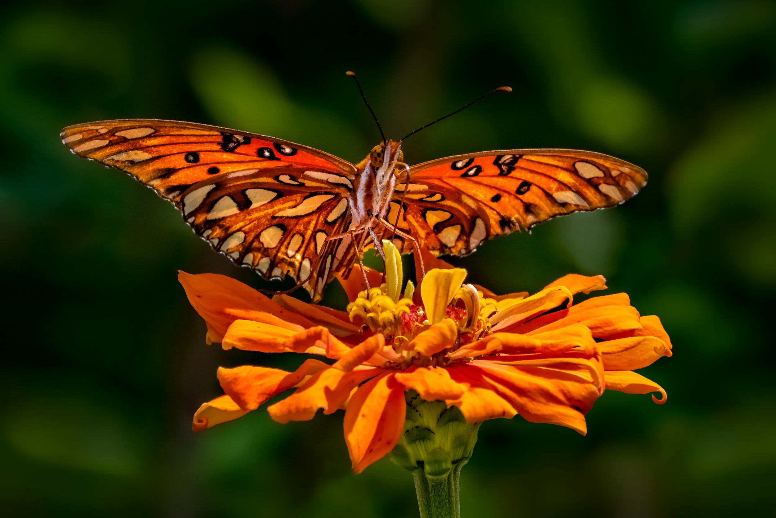JeffGrahamPhotography--150.jpg