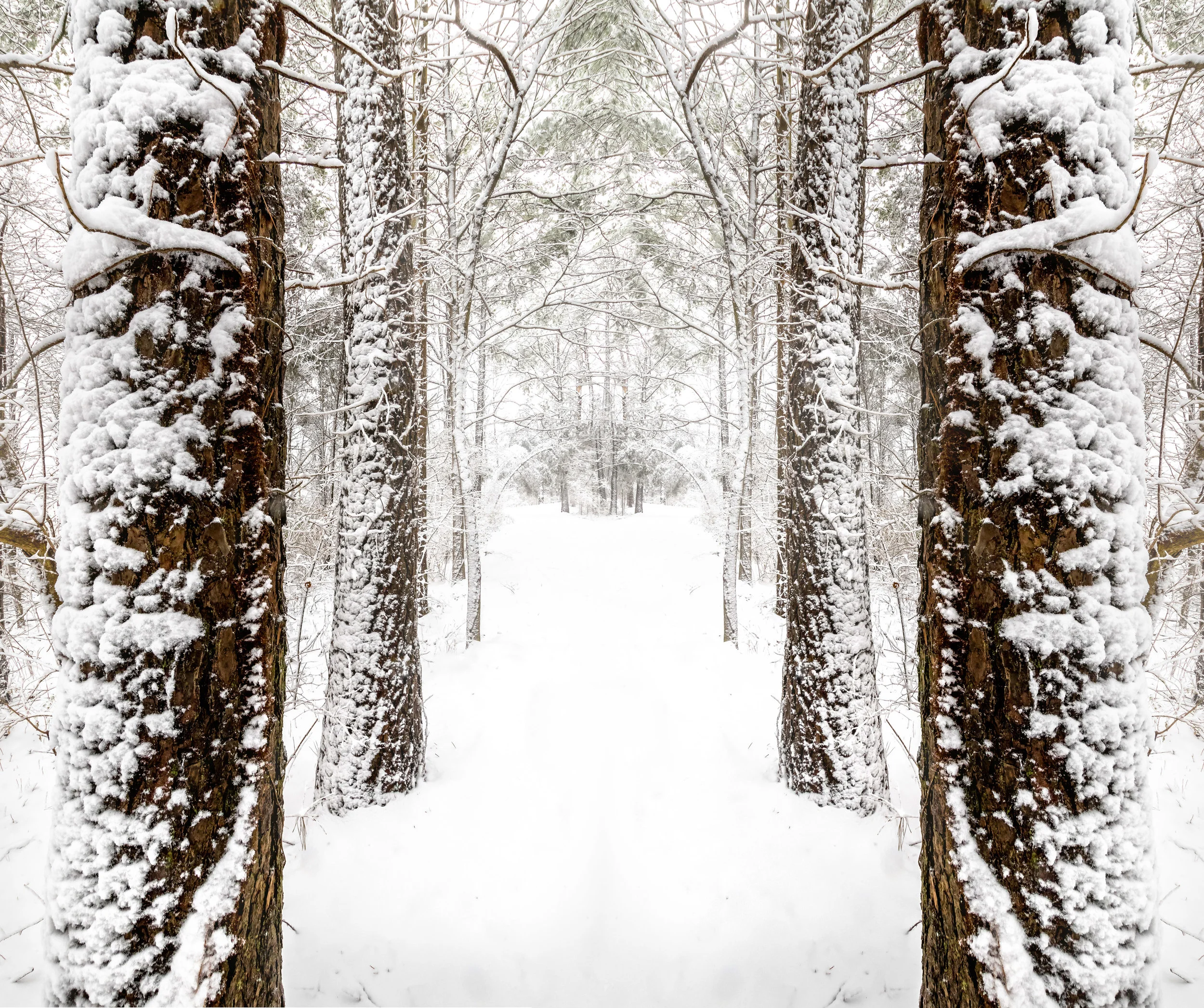 JeffGrahamPhotography--157.jpg