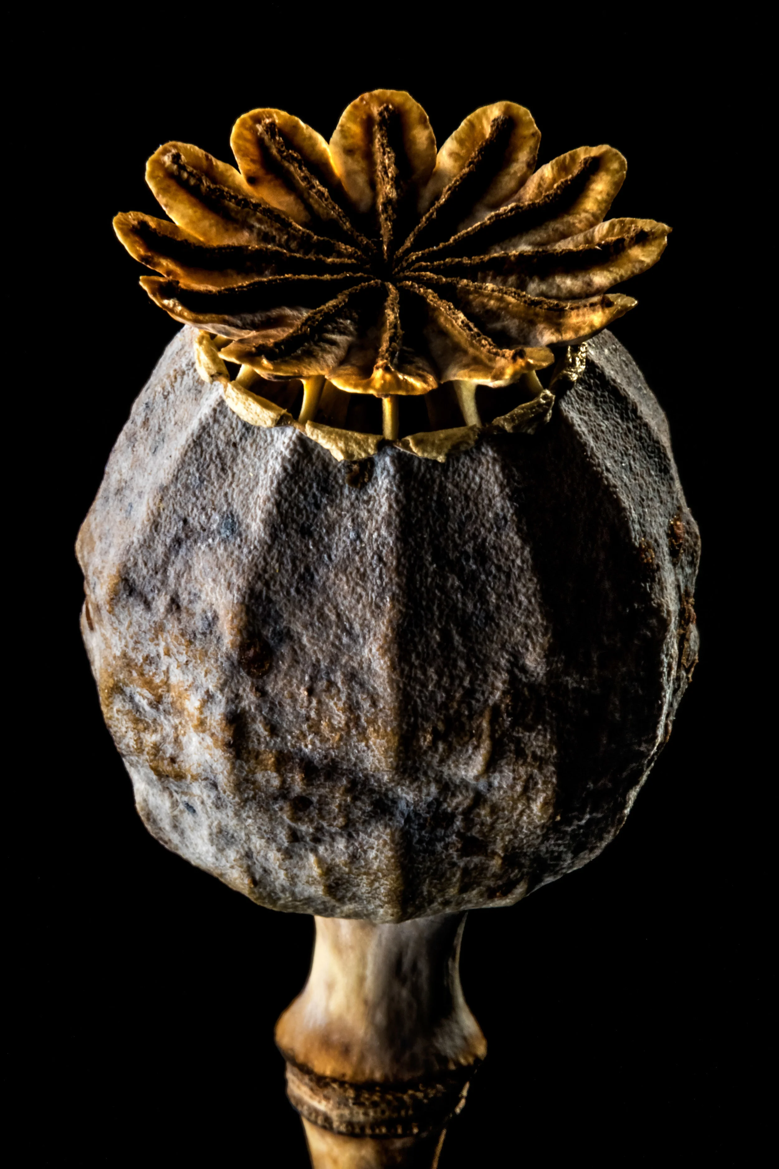 JeffGrahamPhotography--156.jpg