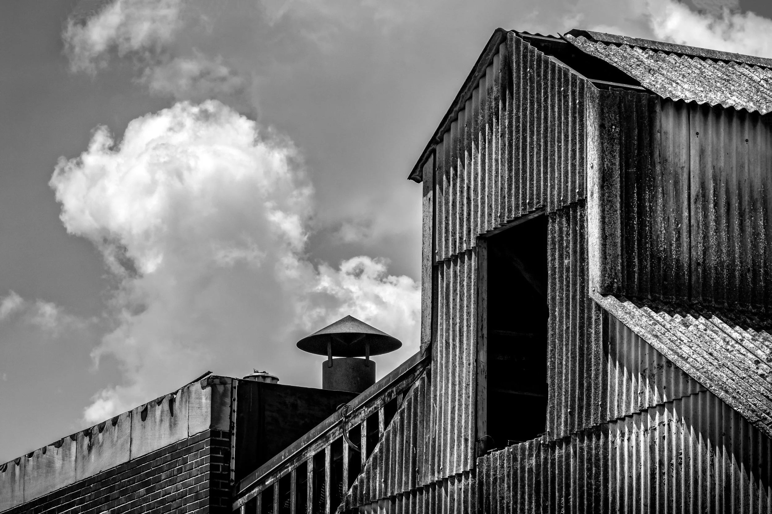 JeffGrahamPhotography--187.jpg