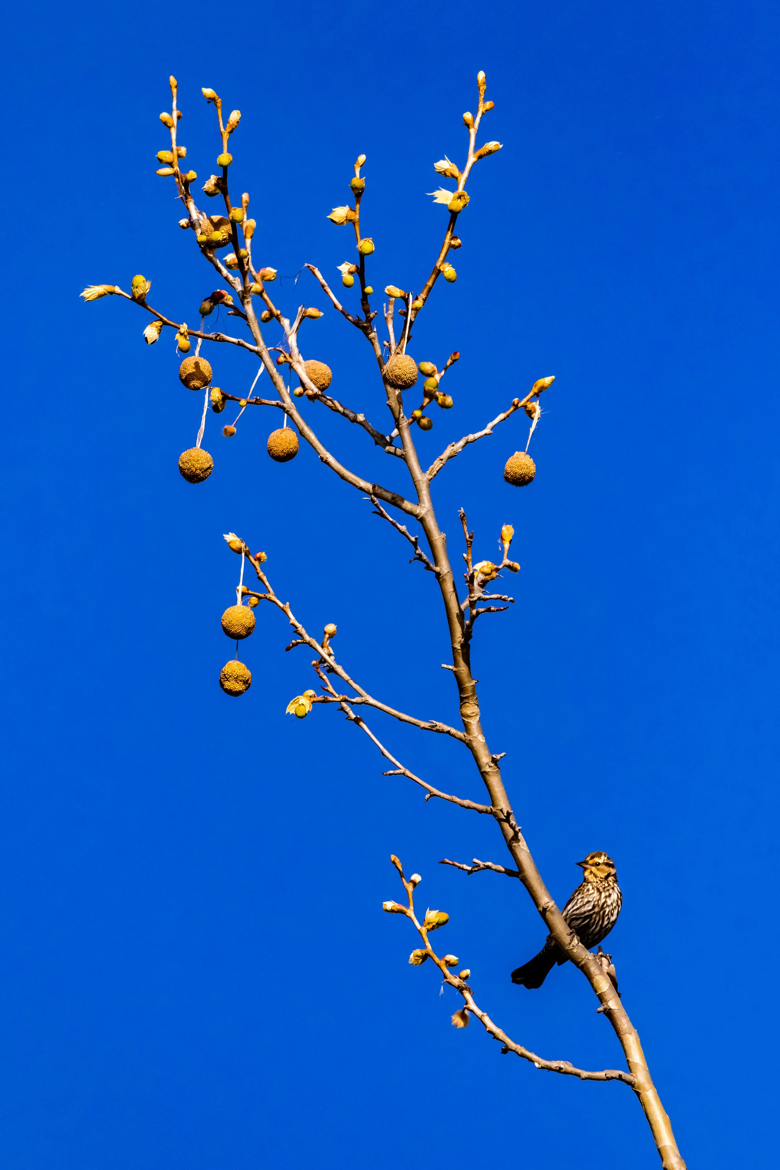 JeffGrahamPhotography--175.jpg