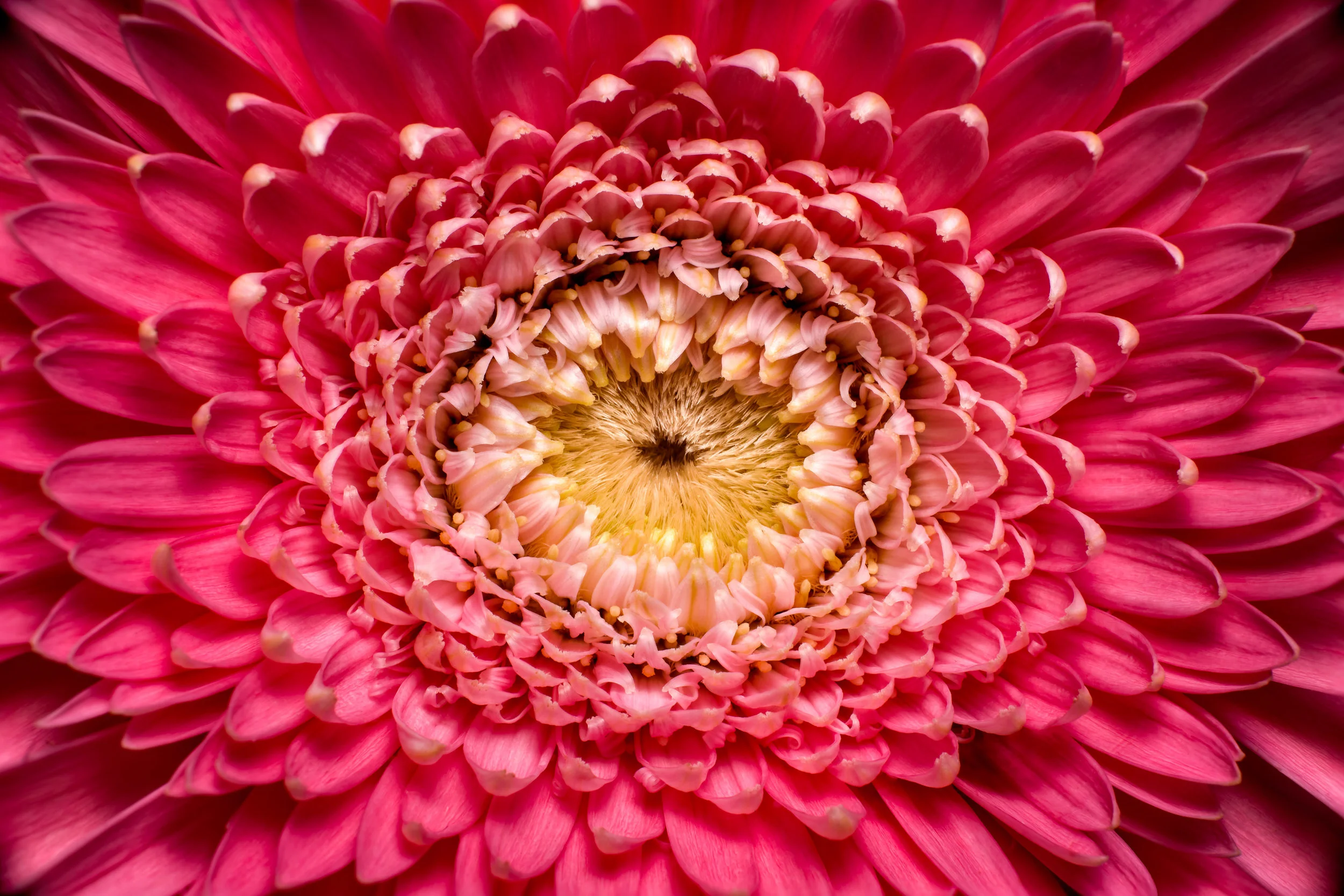 JeffGrahamPhotography--220.jpg