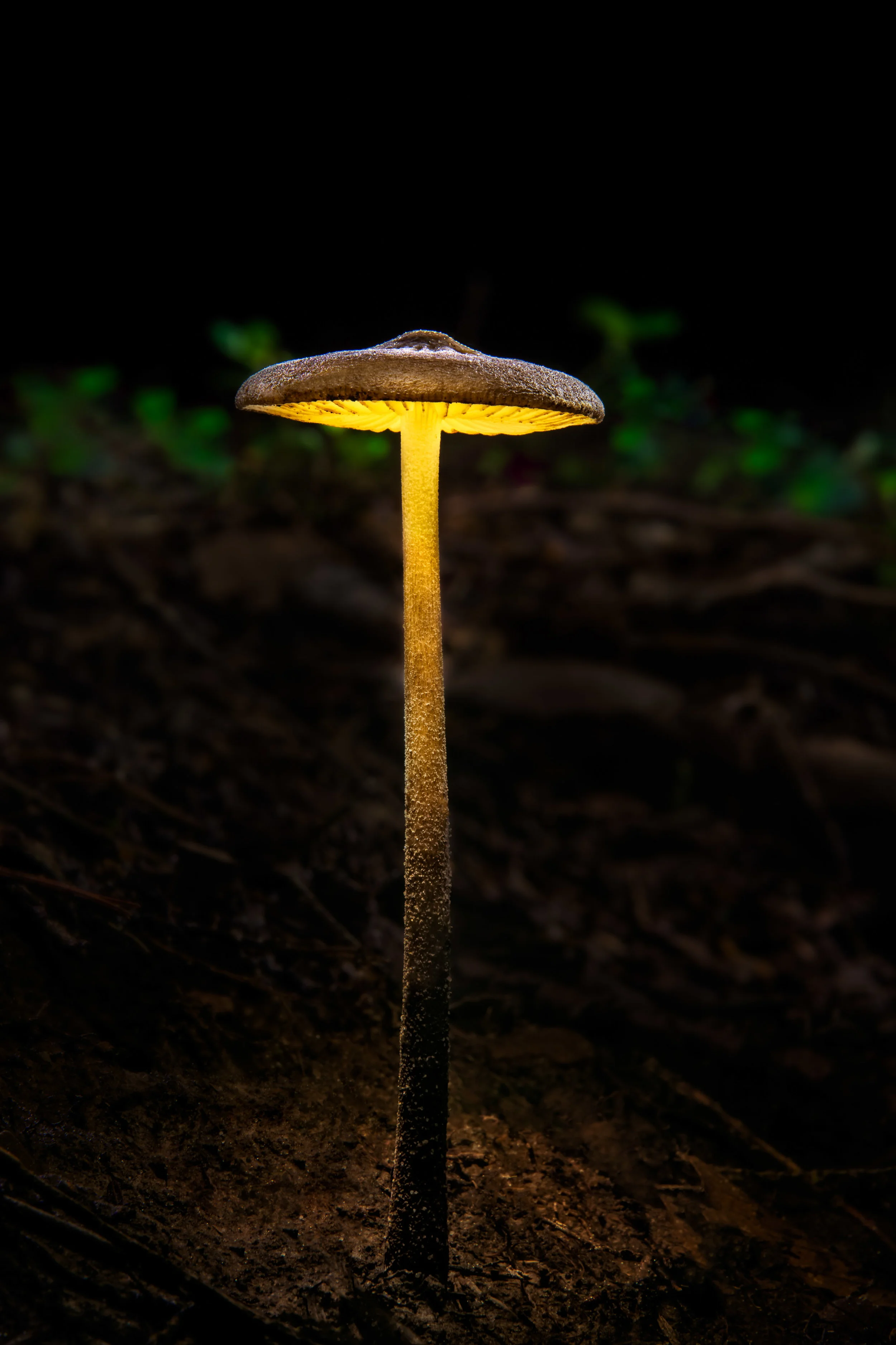 JeffGrahamPhotography--227.jpg