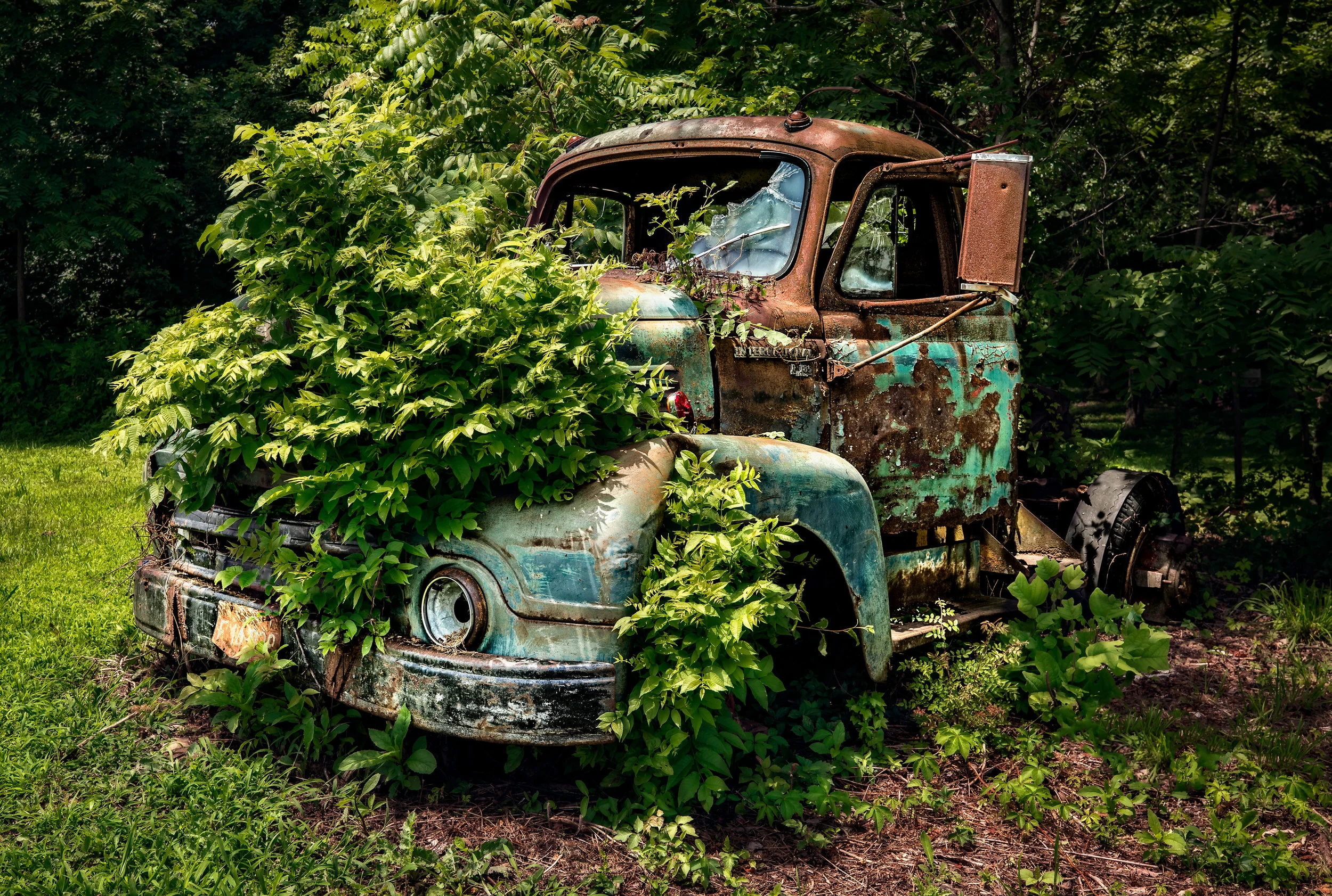 JeffGrahamPhotographyWeb--4.jpg