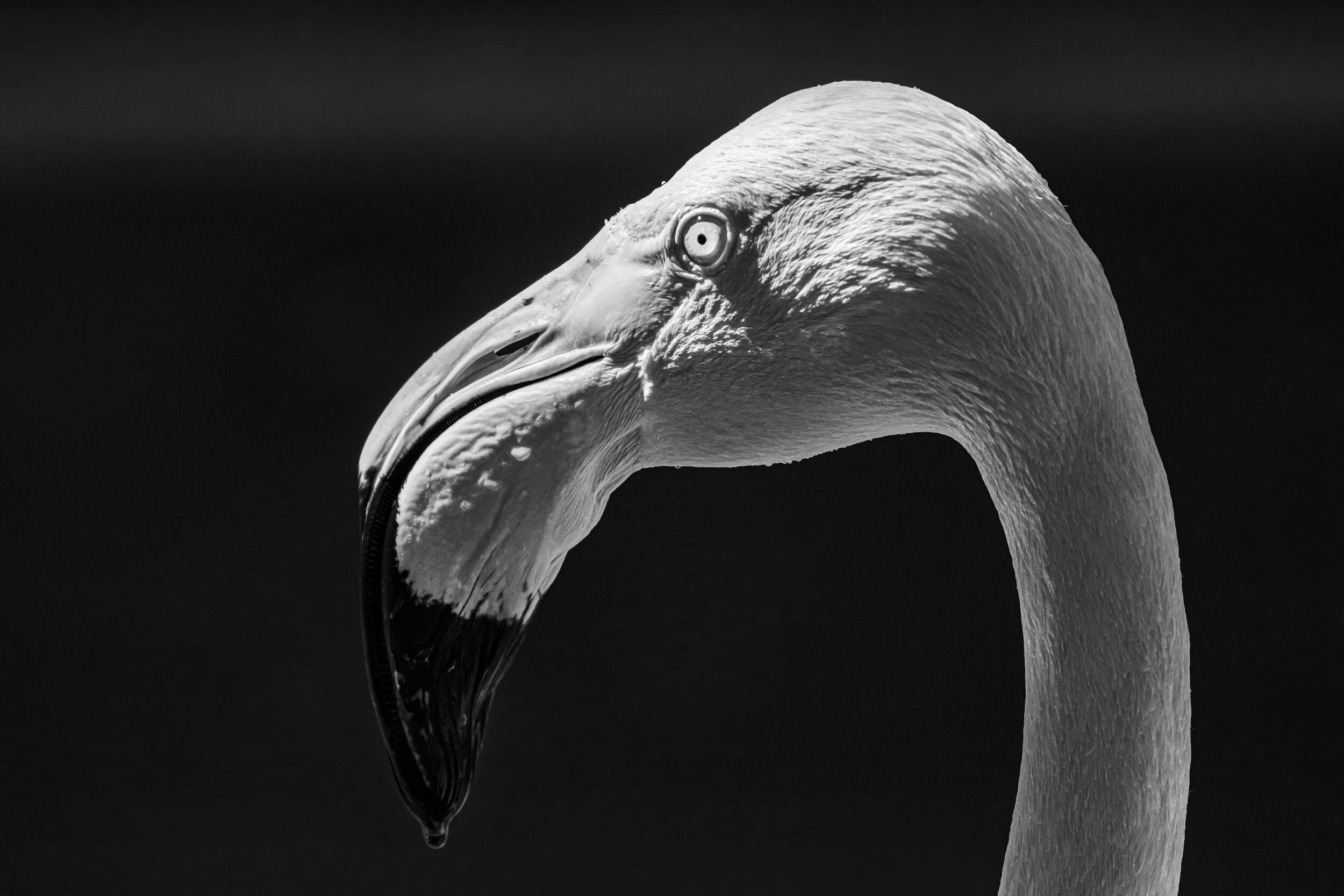 JeffGrahamPhotographyWeb-8051.jpg