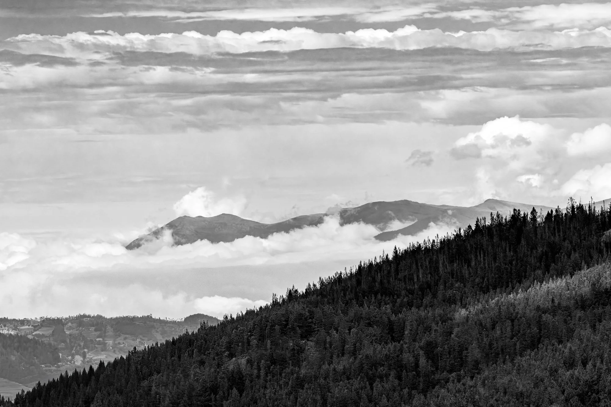 DSC00885-Edit-Edit.jpg
