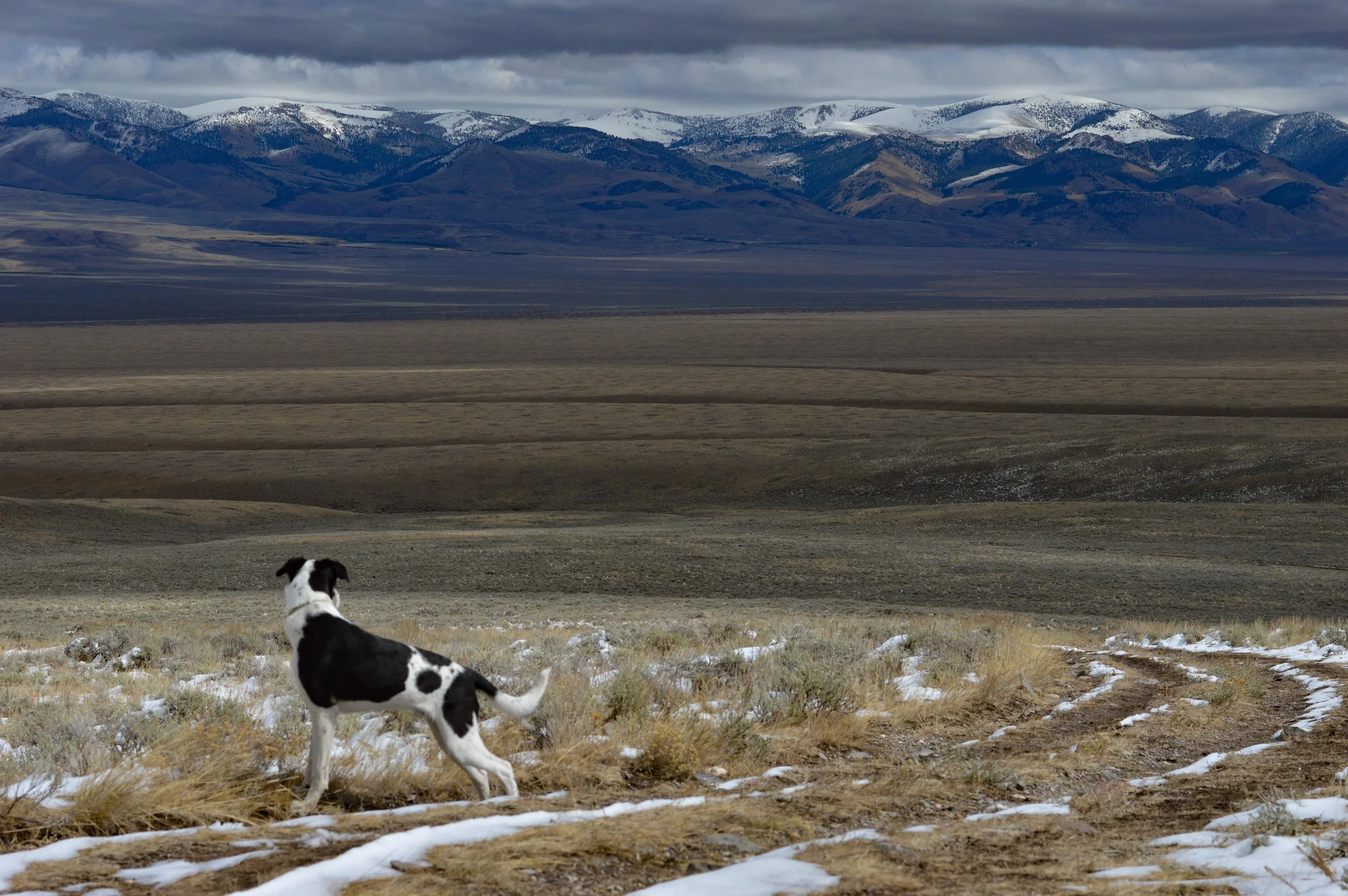 DSC_0251.jpg