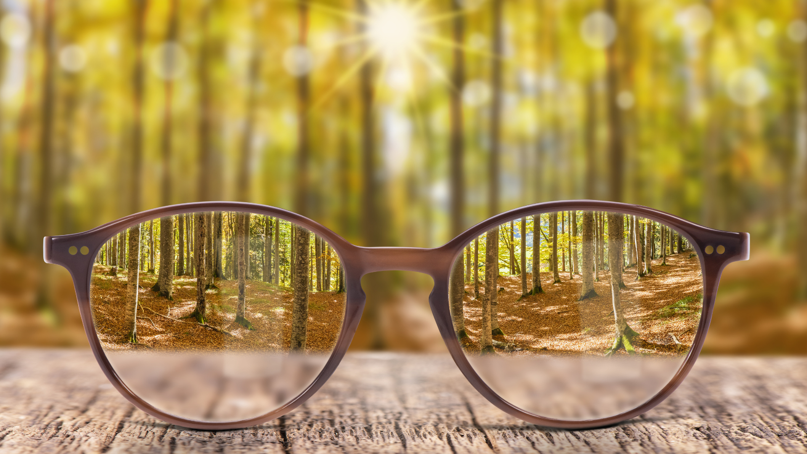 What's your point of view and why do you need one?