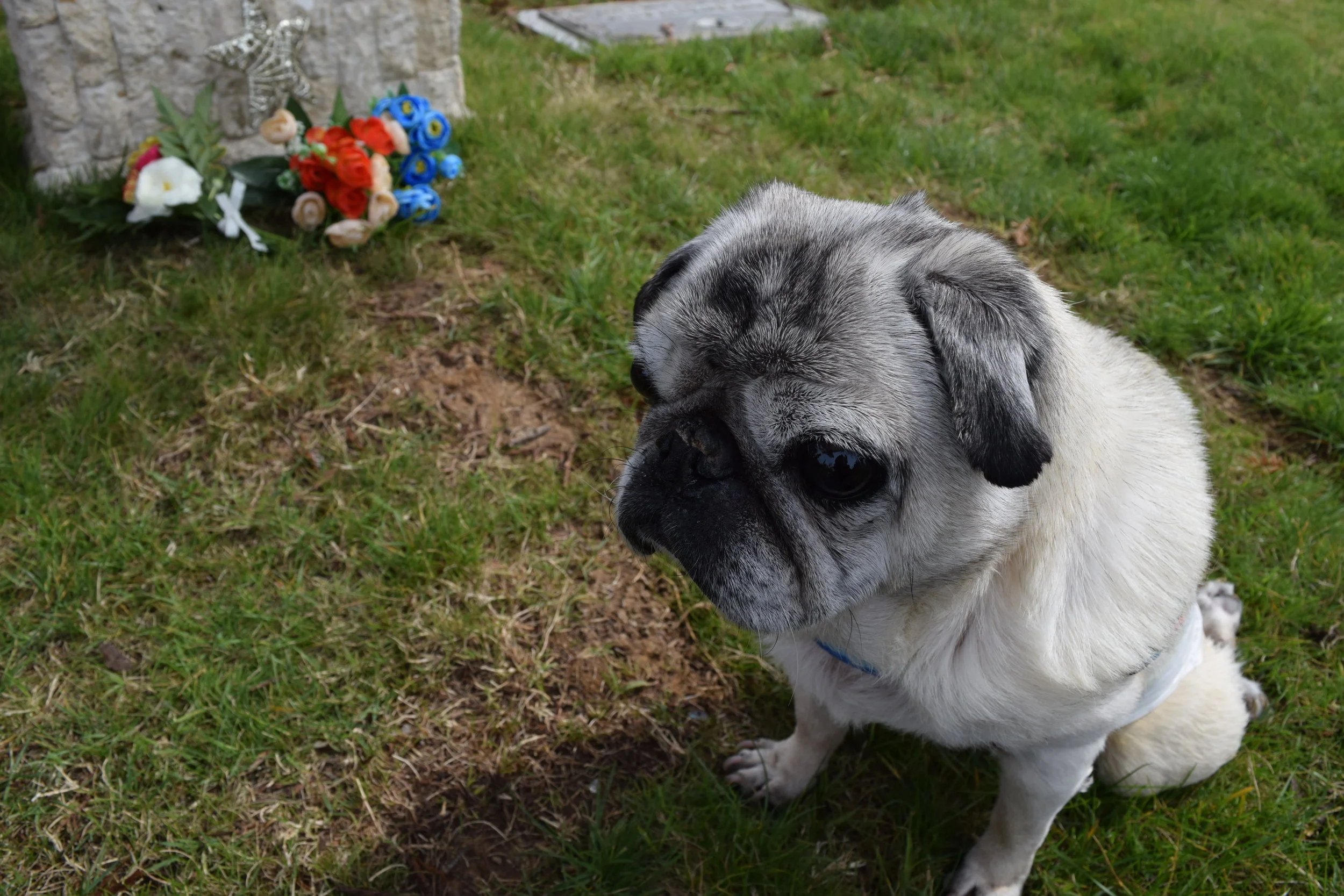 Visiting the Cemetary