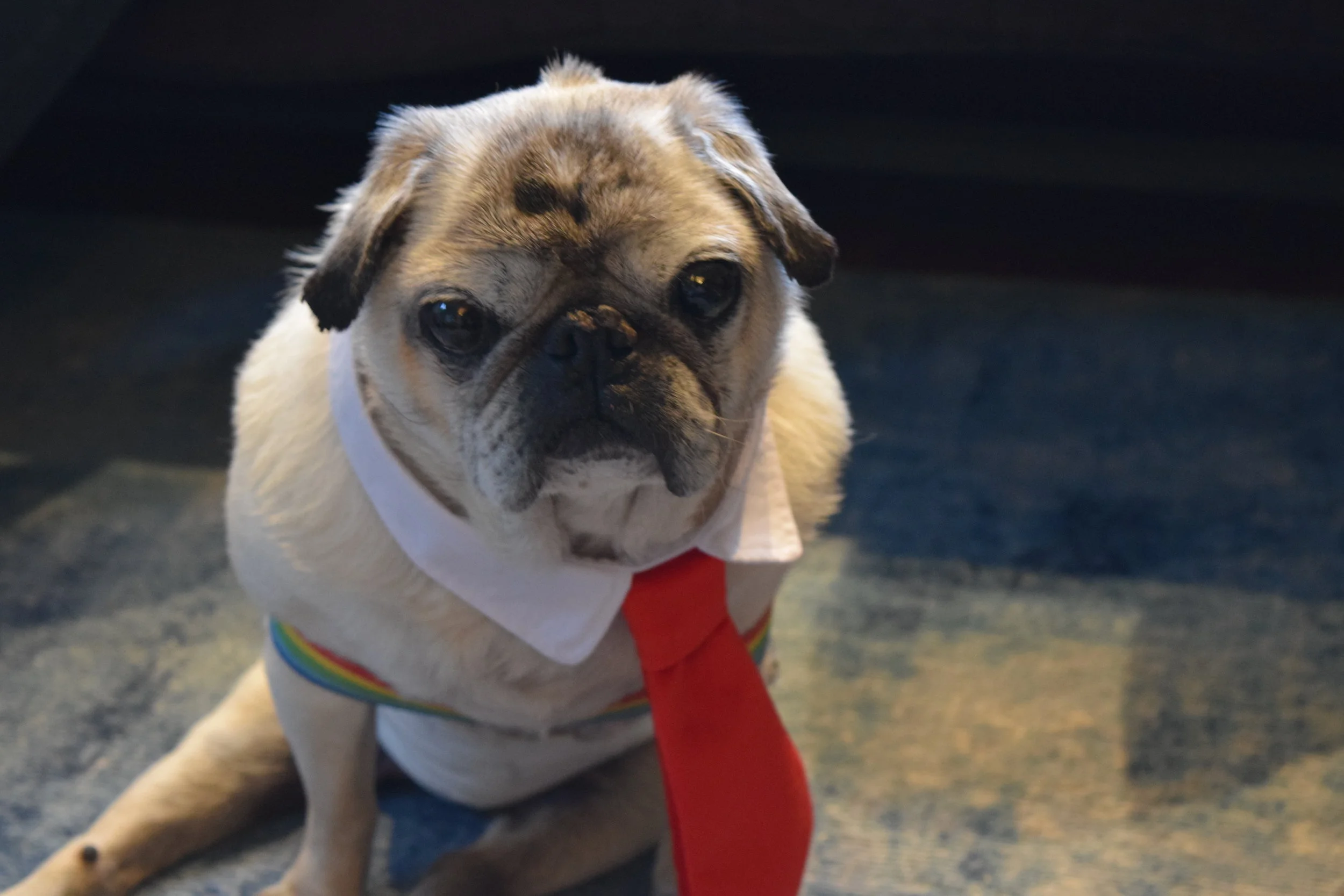 Momo's 13th Birthday Party