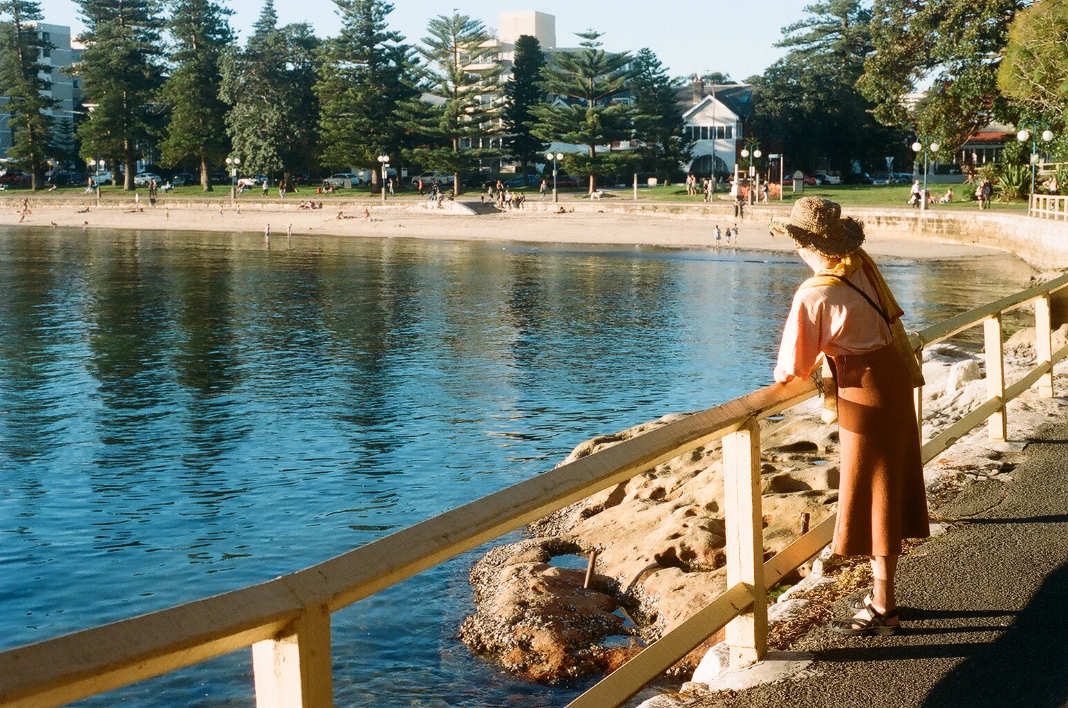 24020016.JPG