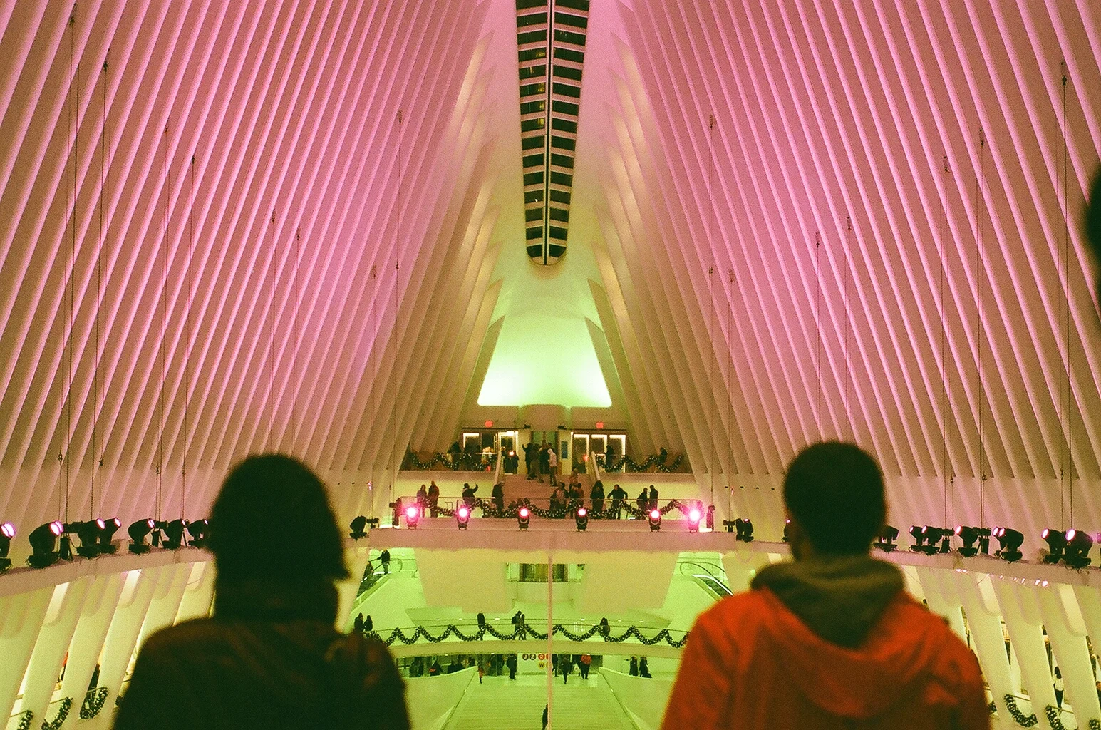 24010006.JPG