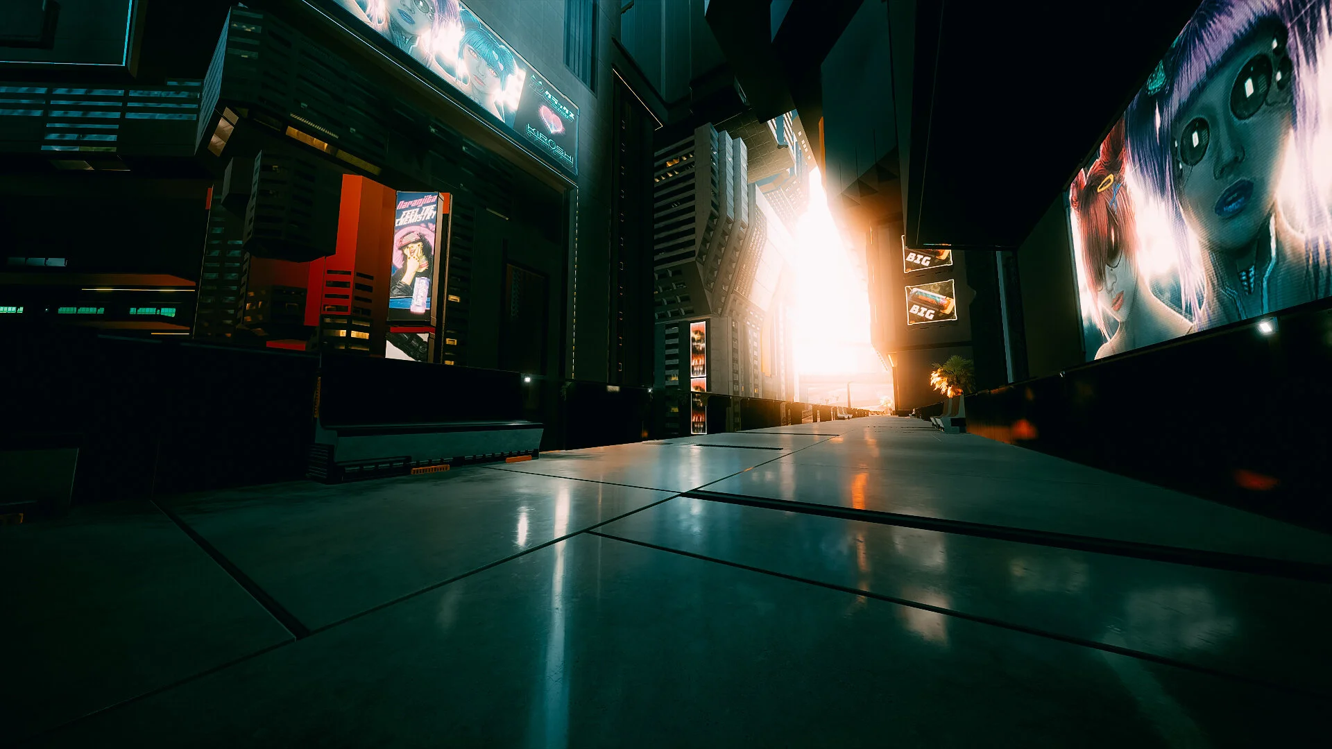 photomode_15122020_004426.jpg