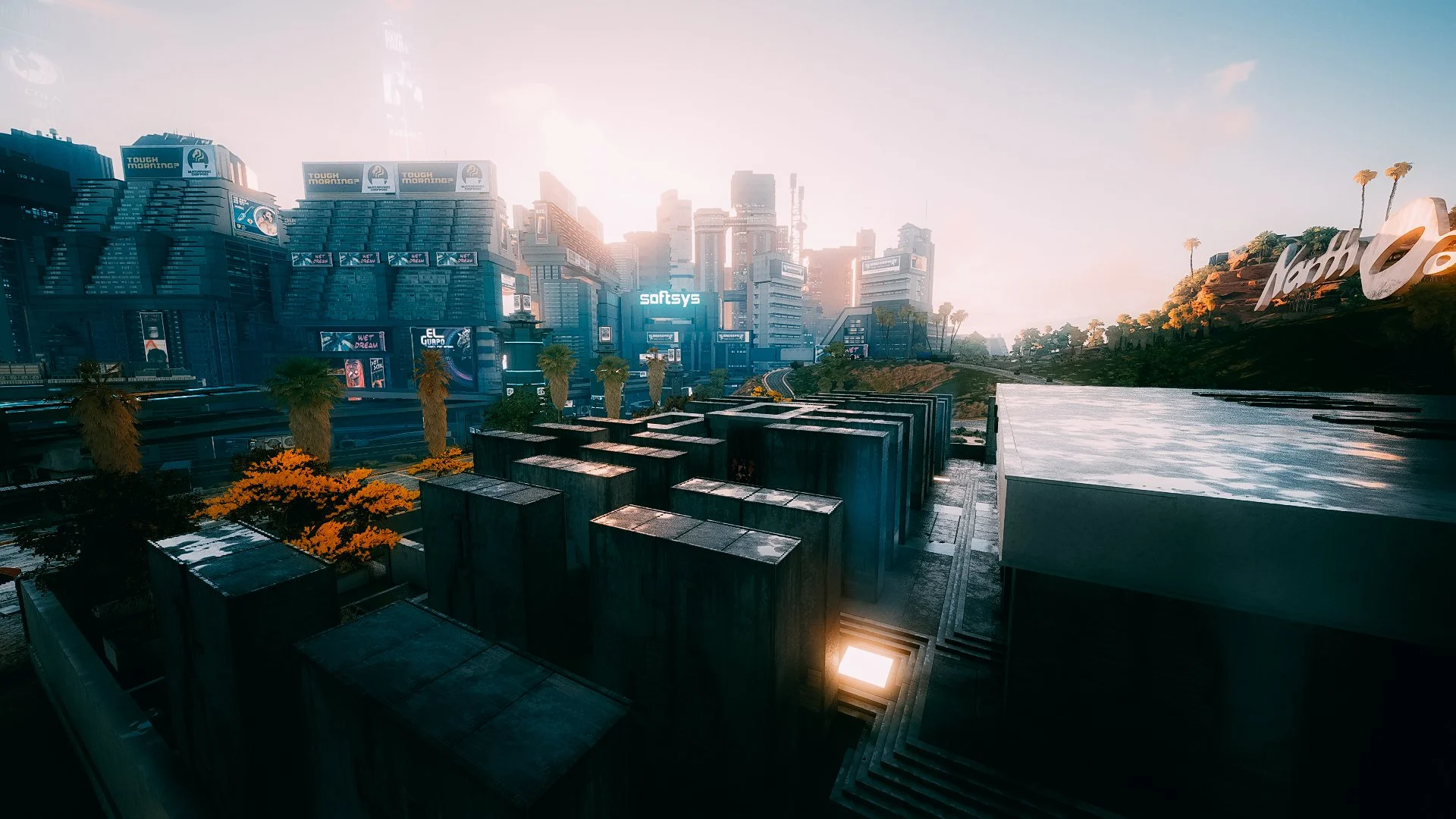 photomode_20032021_200306.jpg