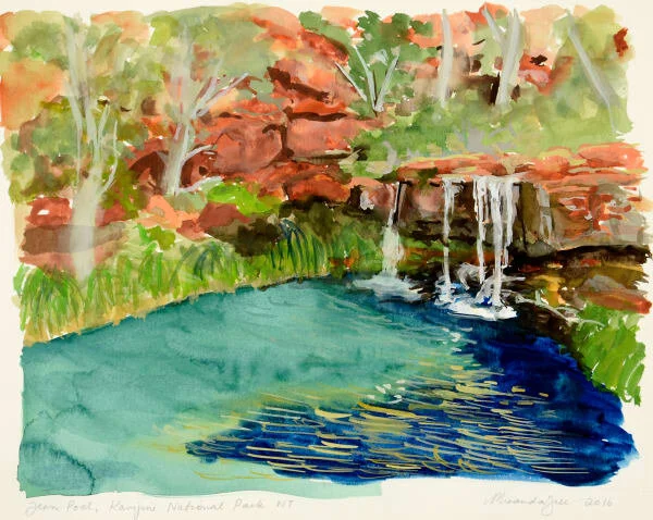 Fern_Pool_Karijini.jpeg