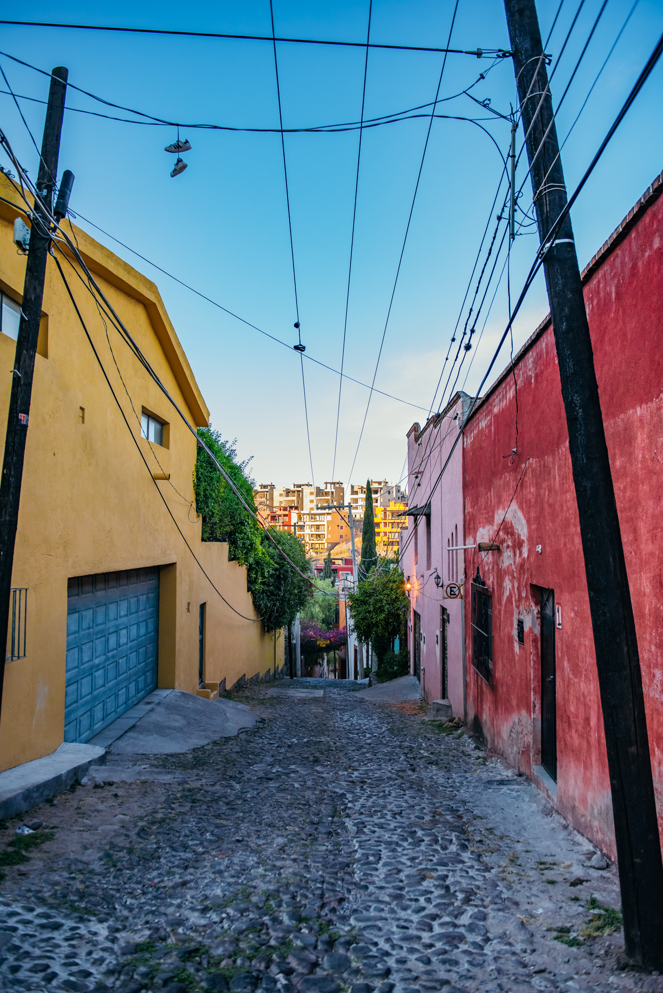 DSC_3600.jpg