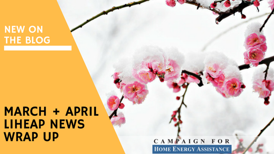 March April 2018 News Wrap Up.png