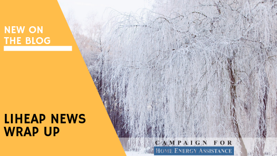 December NEWS Wrap Up.png