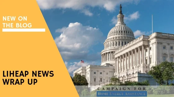 December NEWS Wrap Up.jpg