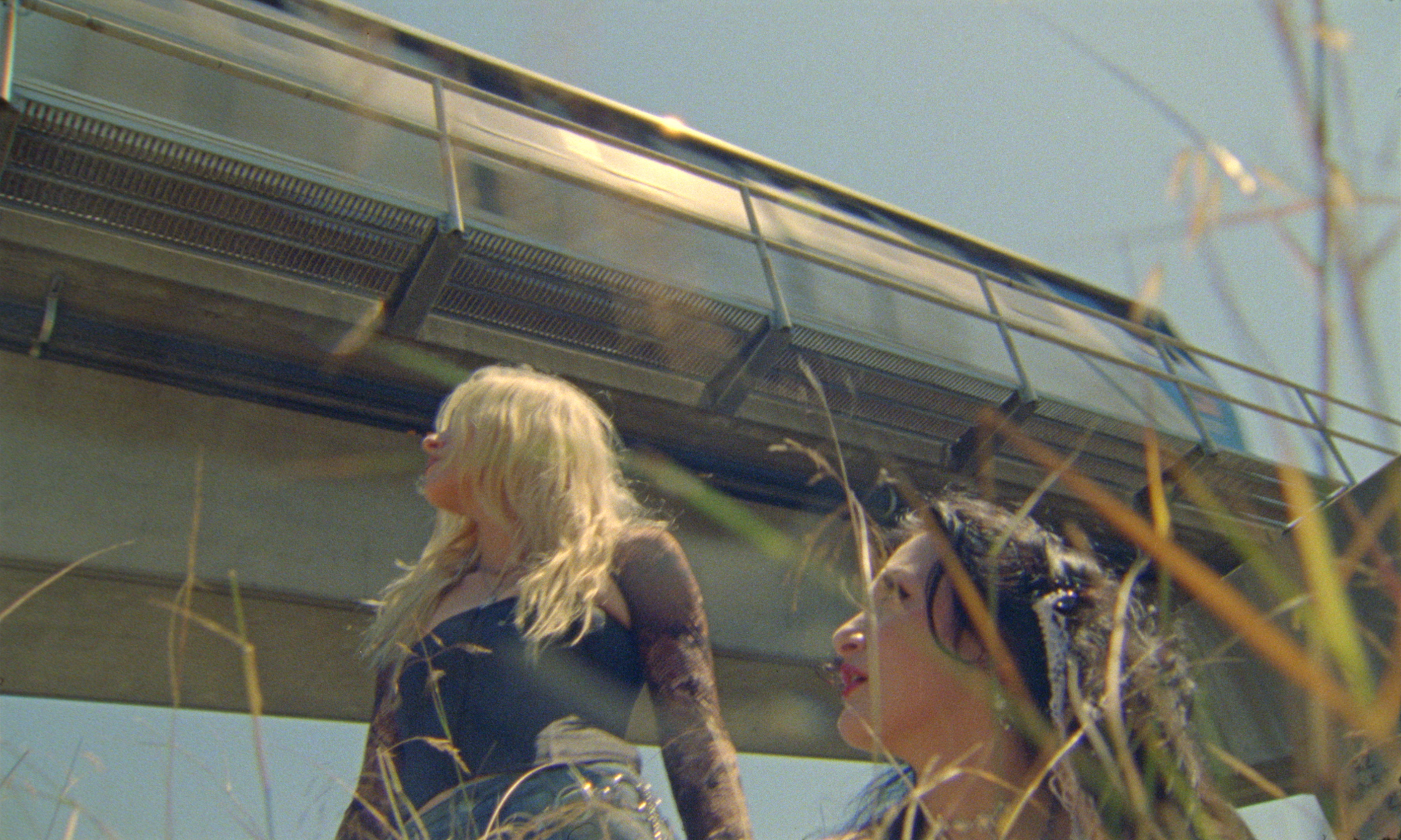 Chokecherry - Secrets