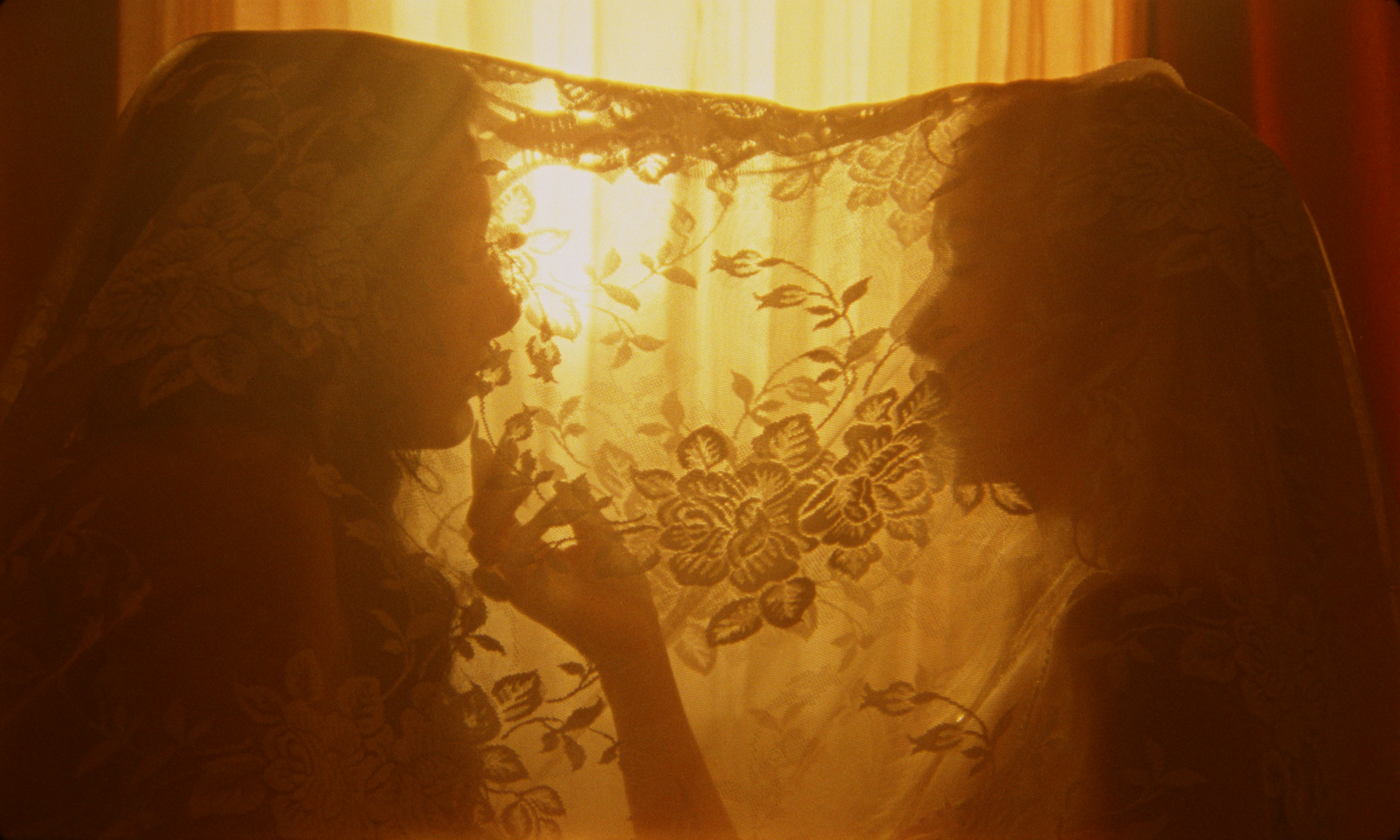 chokecherry | Goldmine