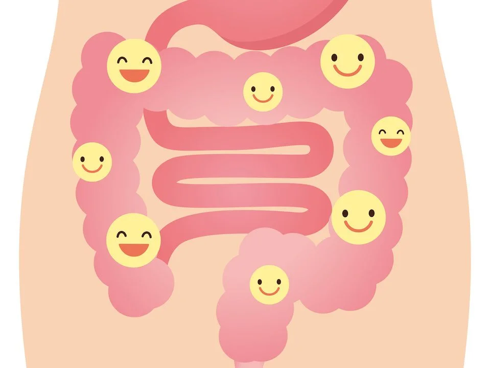 happy gut.jpg