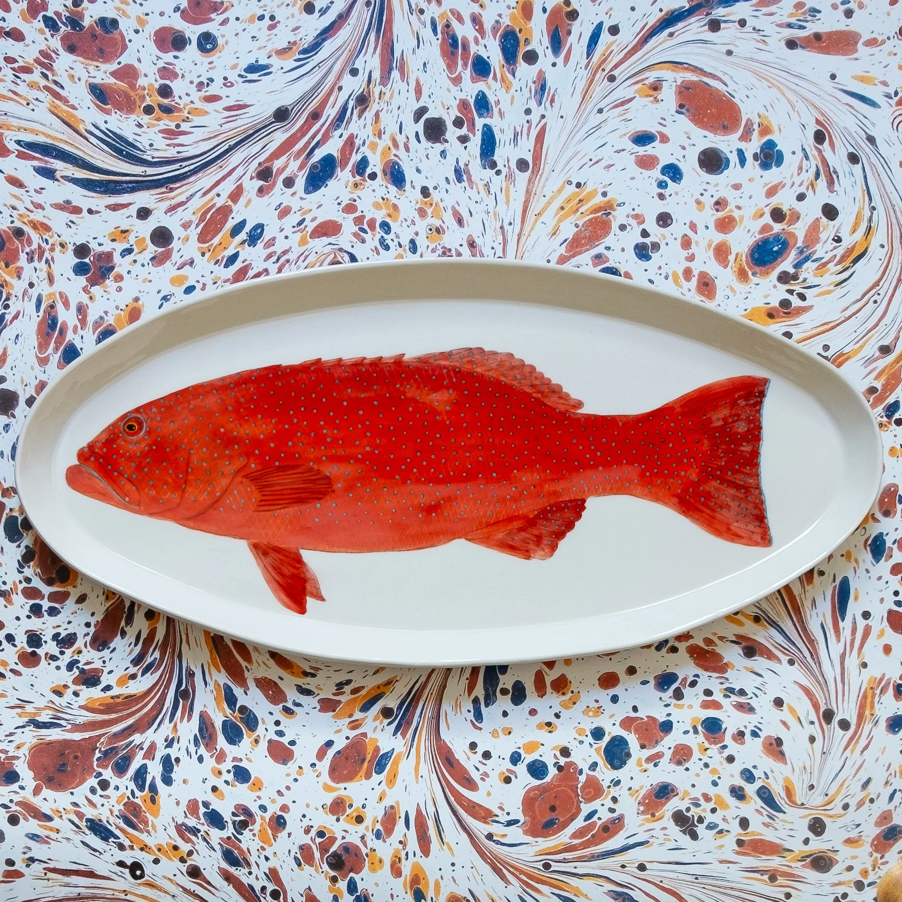 Coral Trout - Very Long Platter