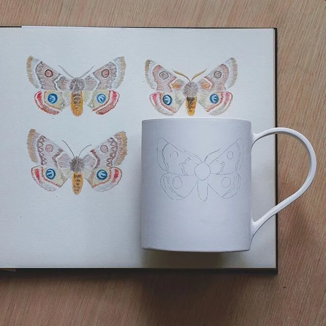 Did anyone else watch @gardeningaustralia a few weeks ago when Jane talked about moths and how amazing they are? 🦋 The segment definitely awakened my curiosity and I went down a rabbit hole by way of the CSRIO webpage where there is a wealth of info
