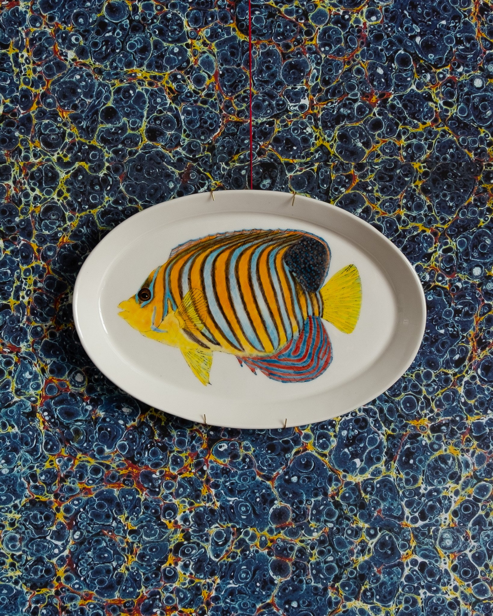 Casa Adams - Regal Angelfish platter.jpg