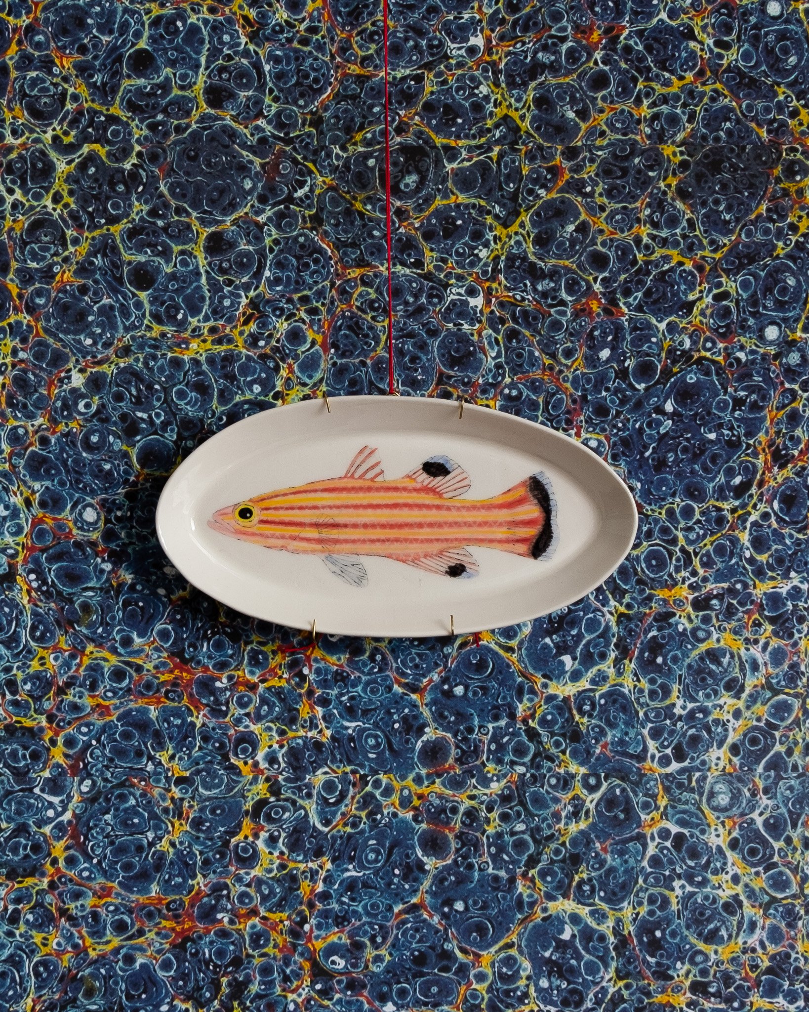Casa Adams - Swissguard basslet platter.jpg