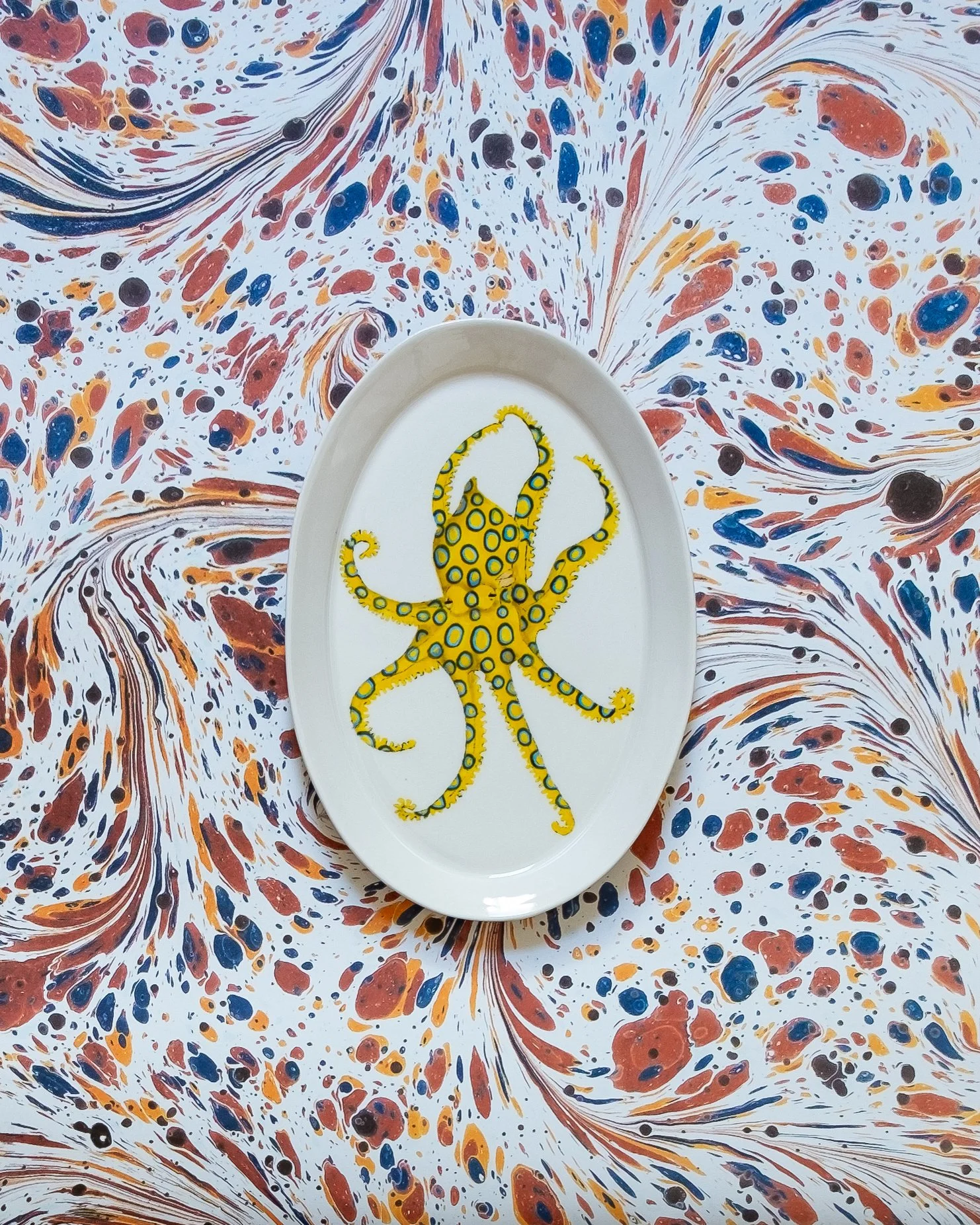 Greater Blue-ringed Octopus - Medium Platter