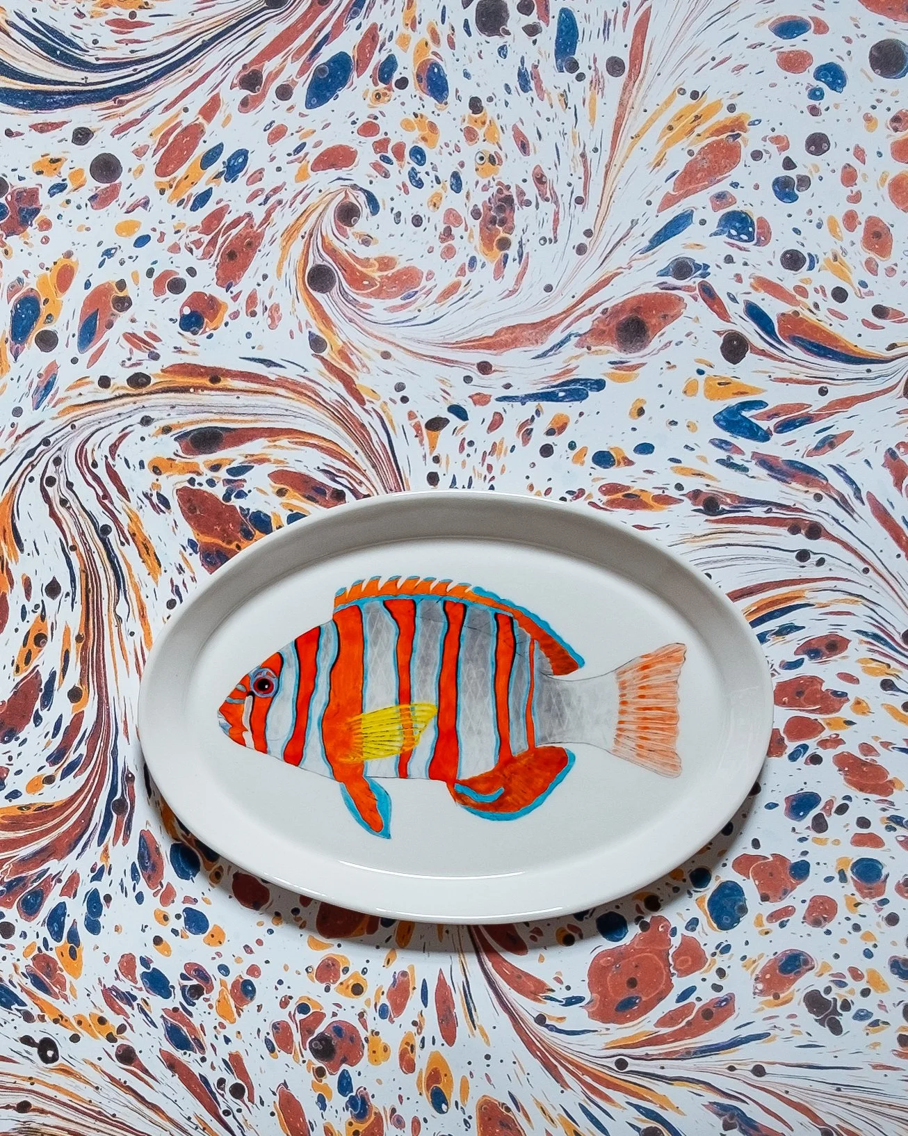 Casa Adams - harlequin tuskfishr-.jpg