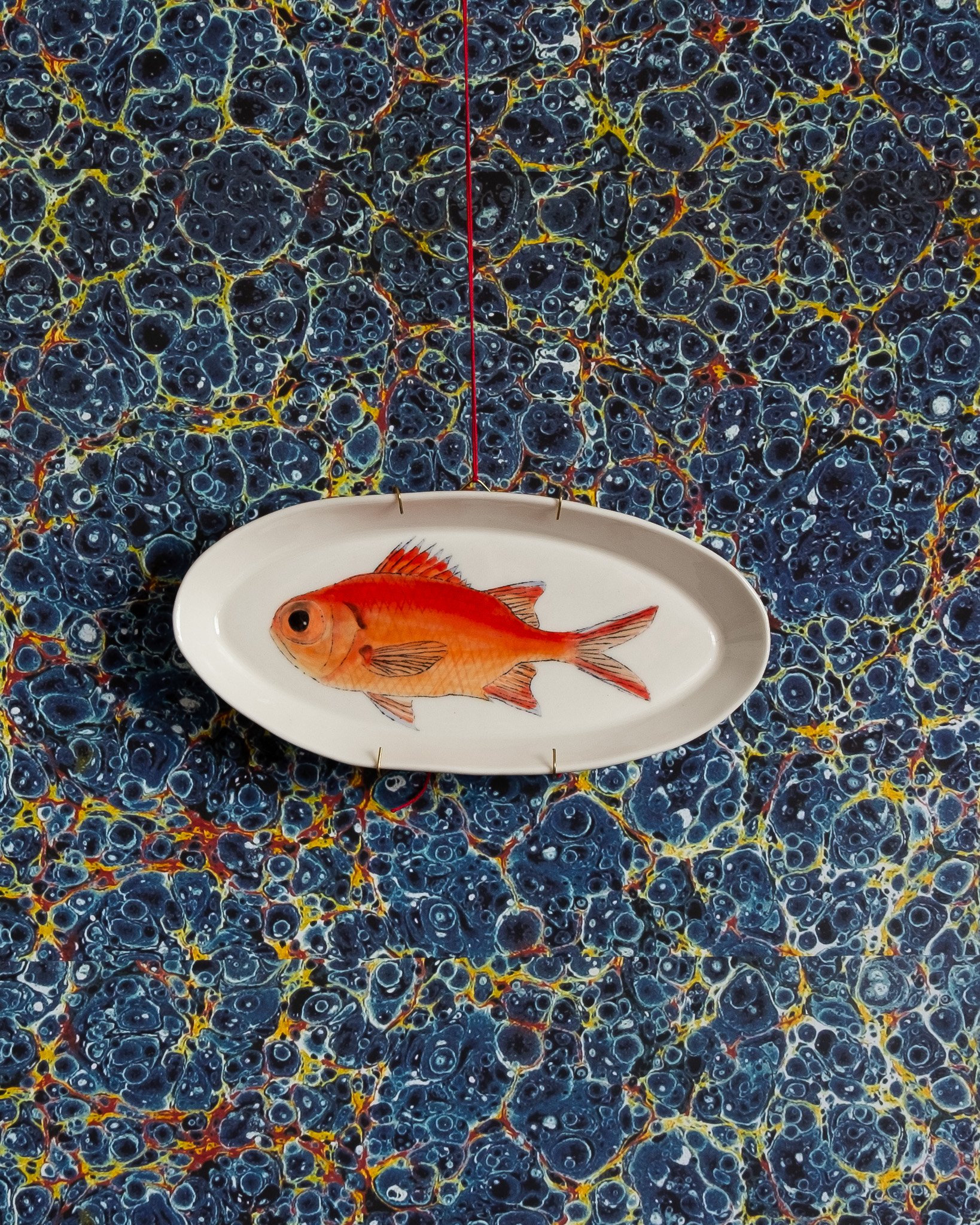 Casa Adams - Bigeye soldierfish.jpg