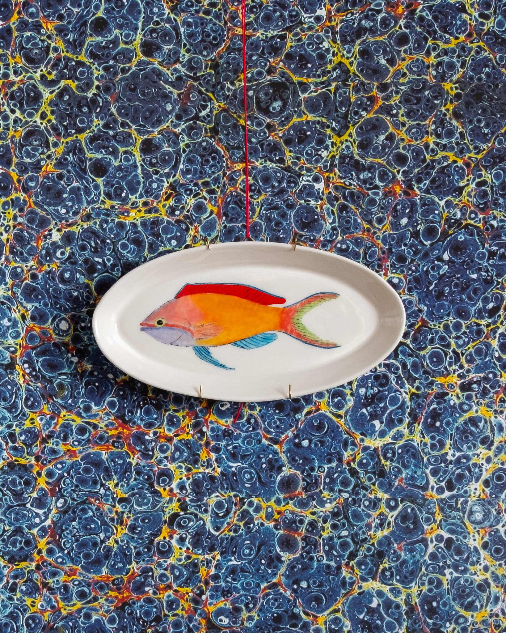 Casa Adams - fairy basslet small platter.jpg