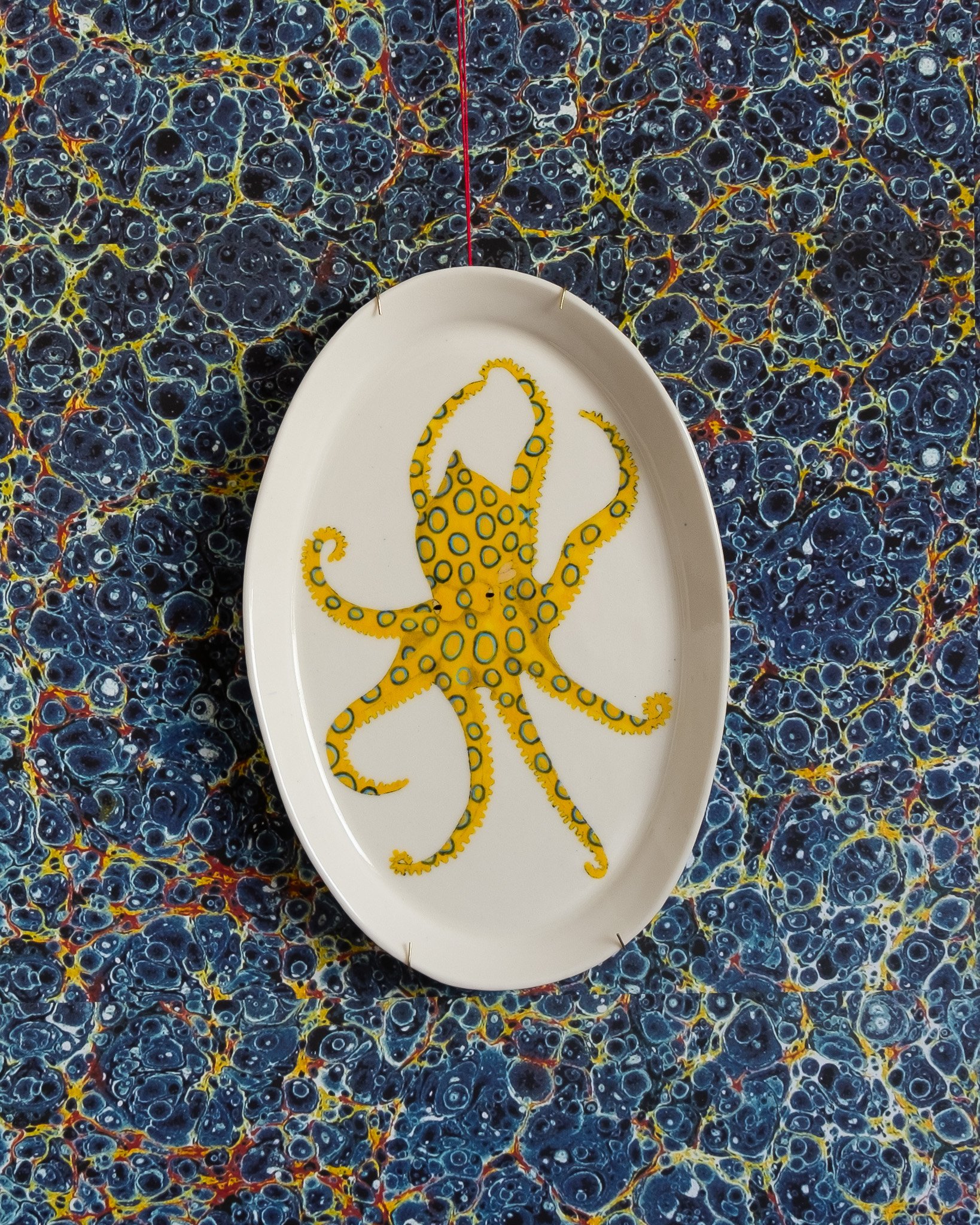 Casa Adams Platter - greater blue ringed octopus.jpg