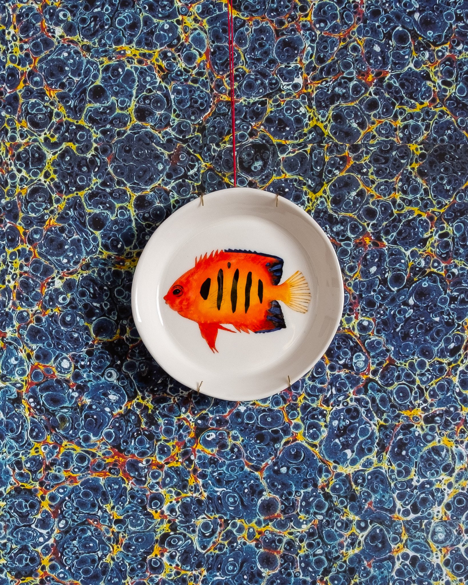 Casa Adams - Flame angelfish dessert plate.jpg