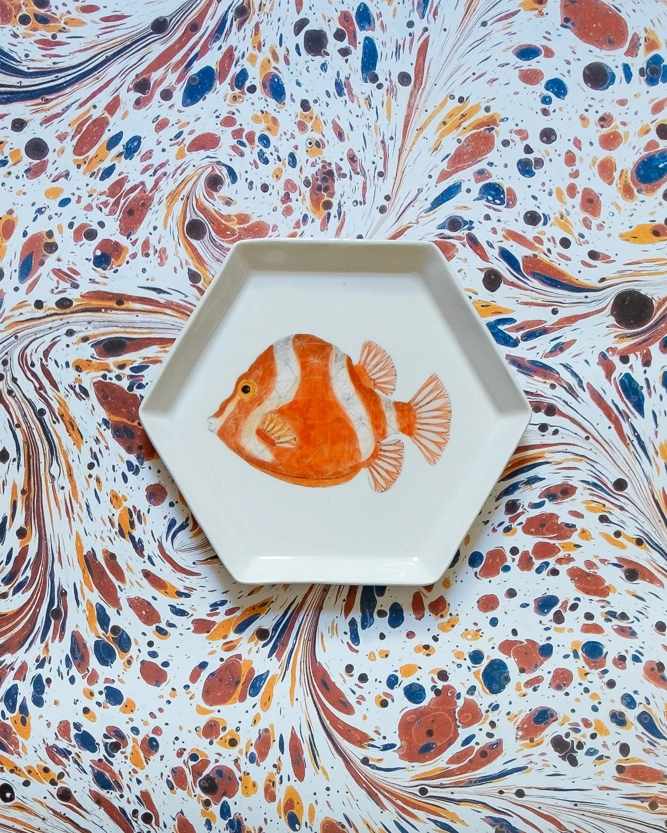Casa Adams - Whitebarred Boxfish - hexhagon plate.jpg