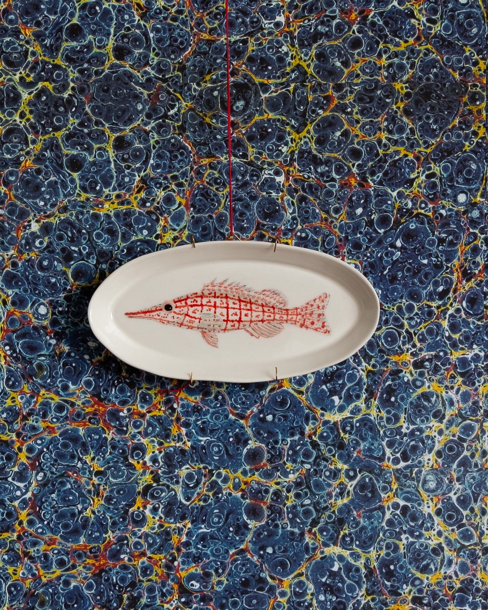 Casa Asams - Longnose Hawkfish platter.jpg