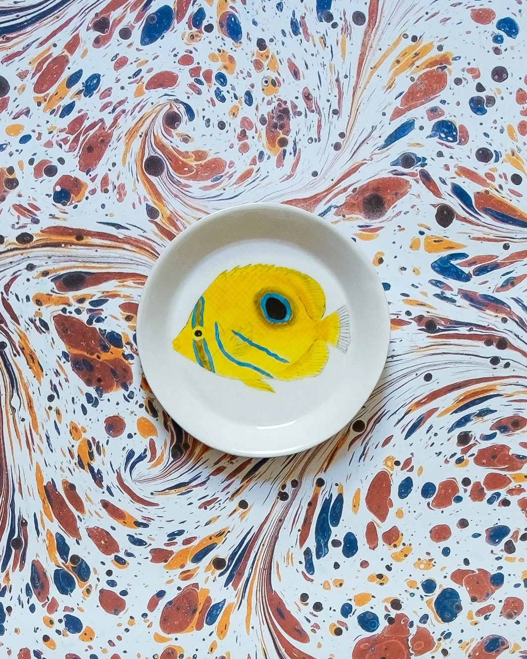 Casa Adams - Eclipse buterflish dessert plate.jpg