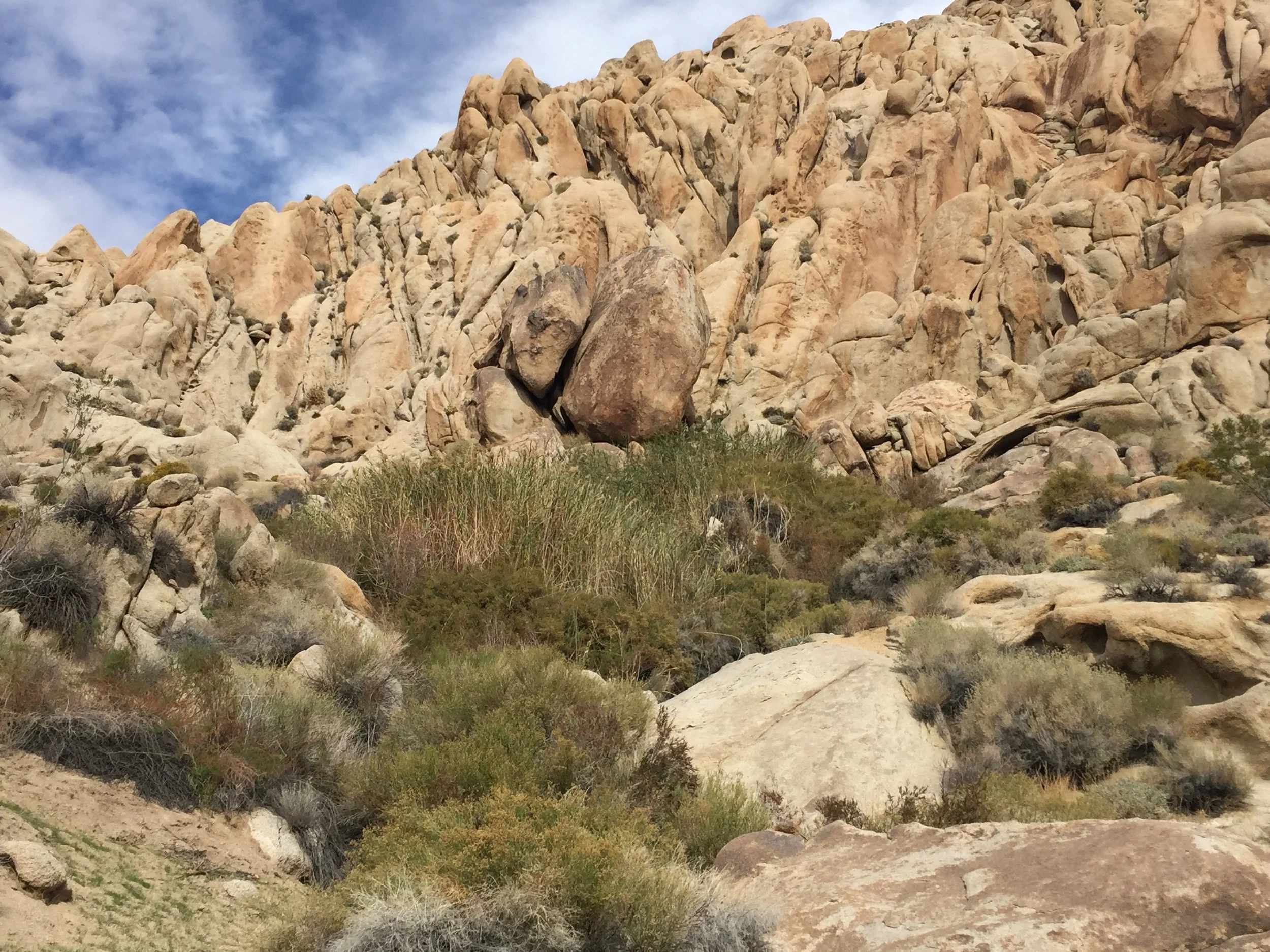 Twin North looking northeast.jpg