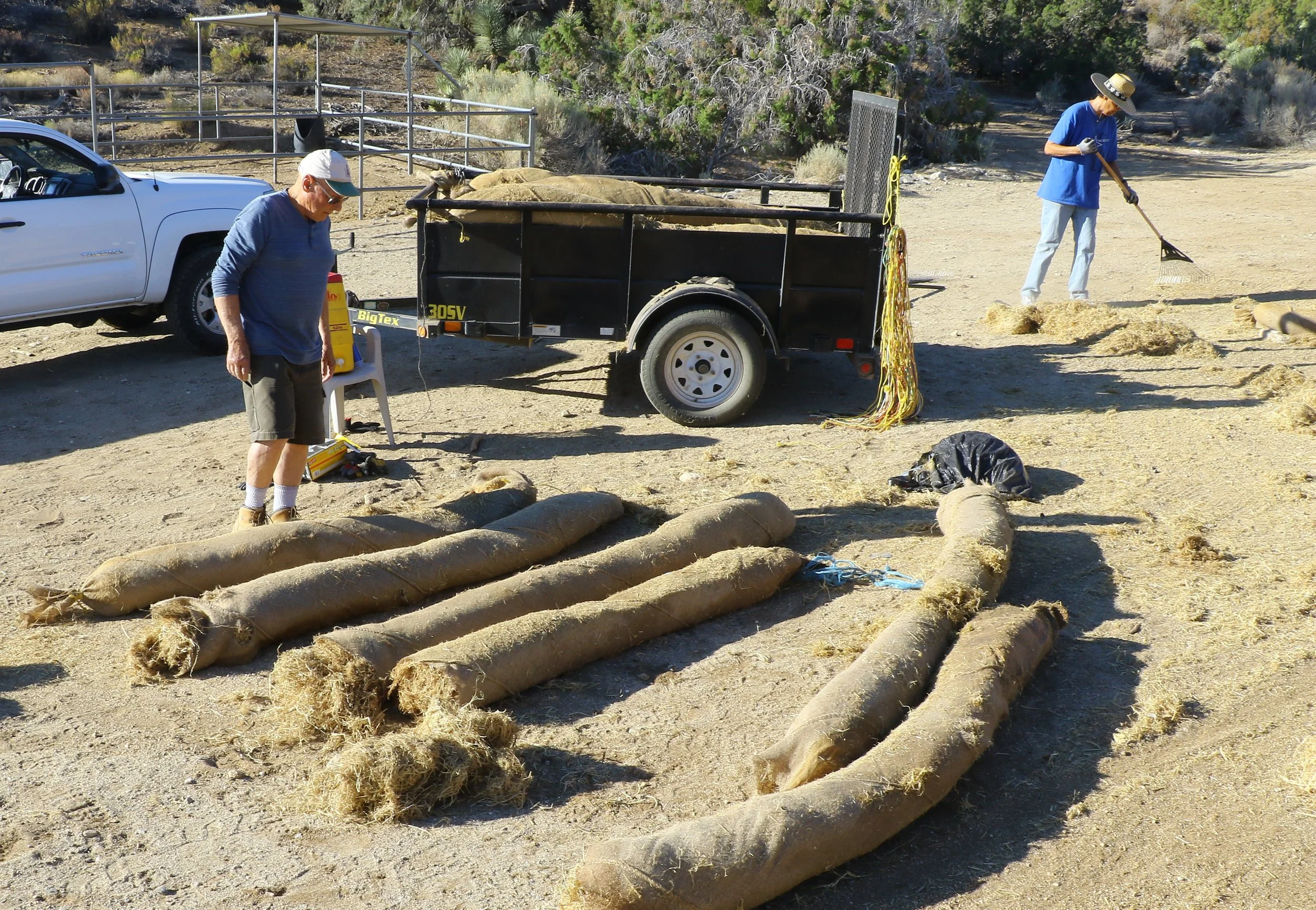 August 2018 Larry Frank assesses wattles and loads them into the trailer.