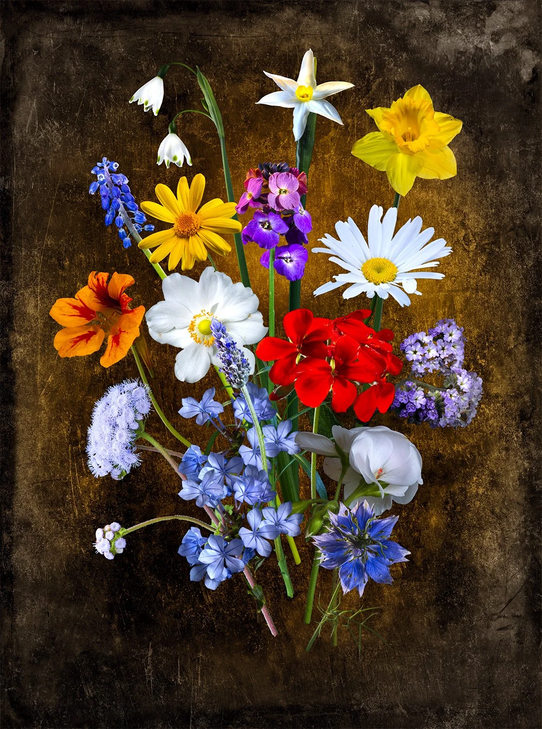   Solace 3   from the exhibition,  Runnymede: Puncturing the Mask of Civility   Solvent backlight film in light box, 35 × 26cm 